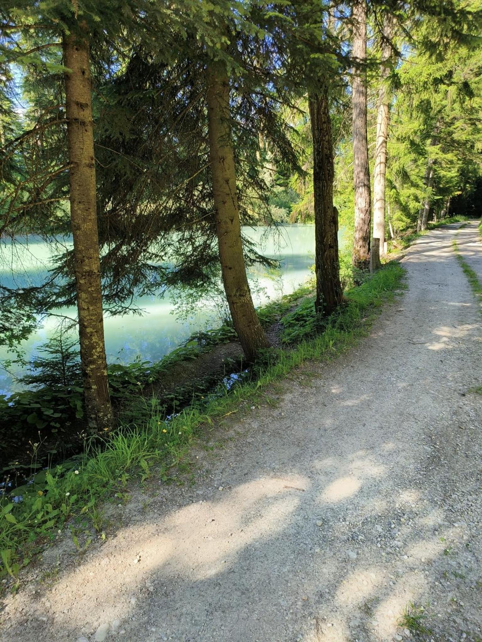 Ô Bercail Gîte de basse montagne 7' de vercorin