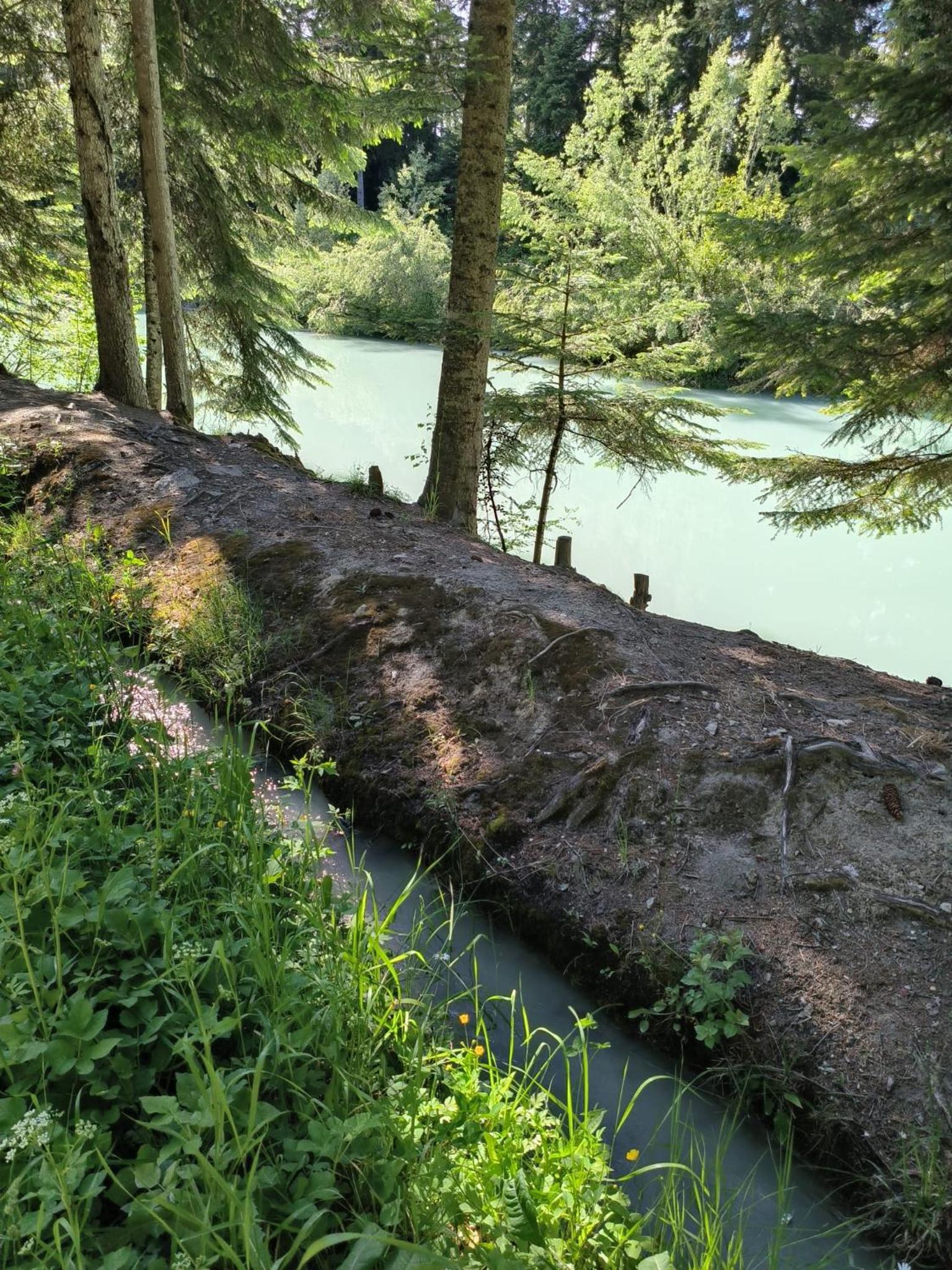 Ô Bercail Gîte de basse montagne 7' de vercorin
