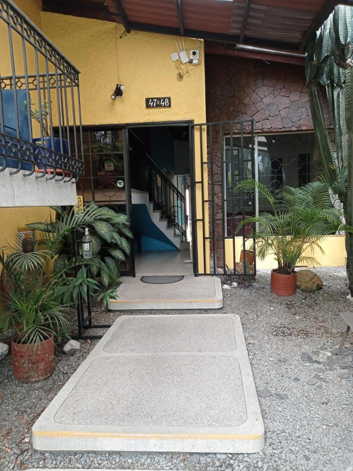 Photo 44
