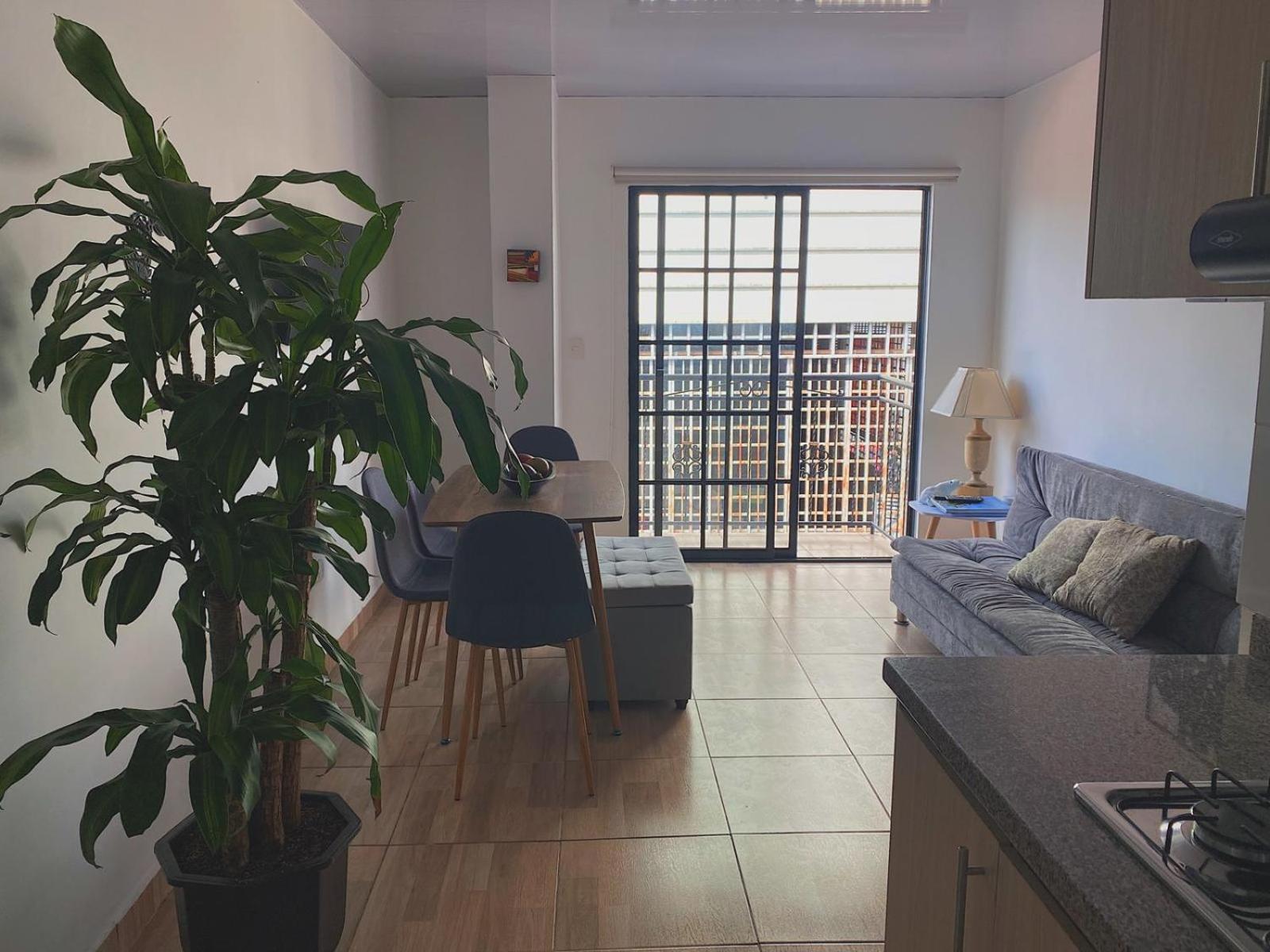 Cozy flat one street from downtown