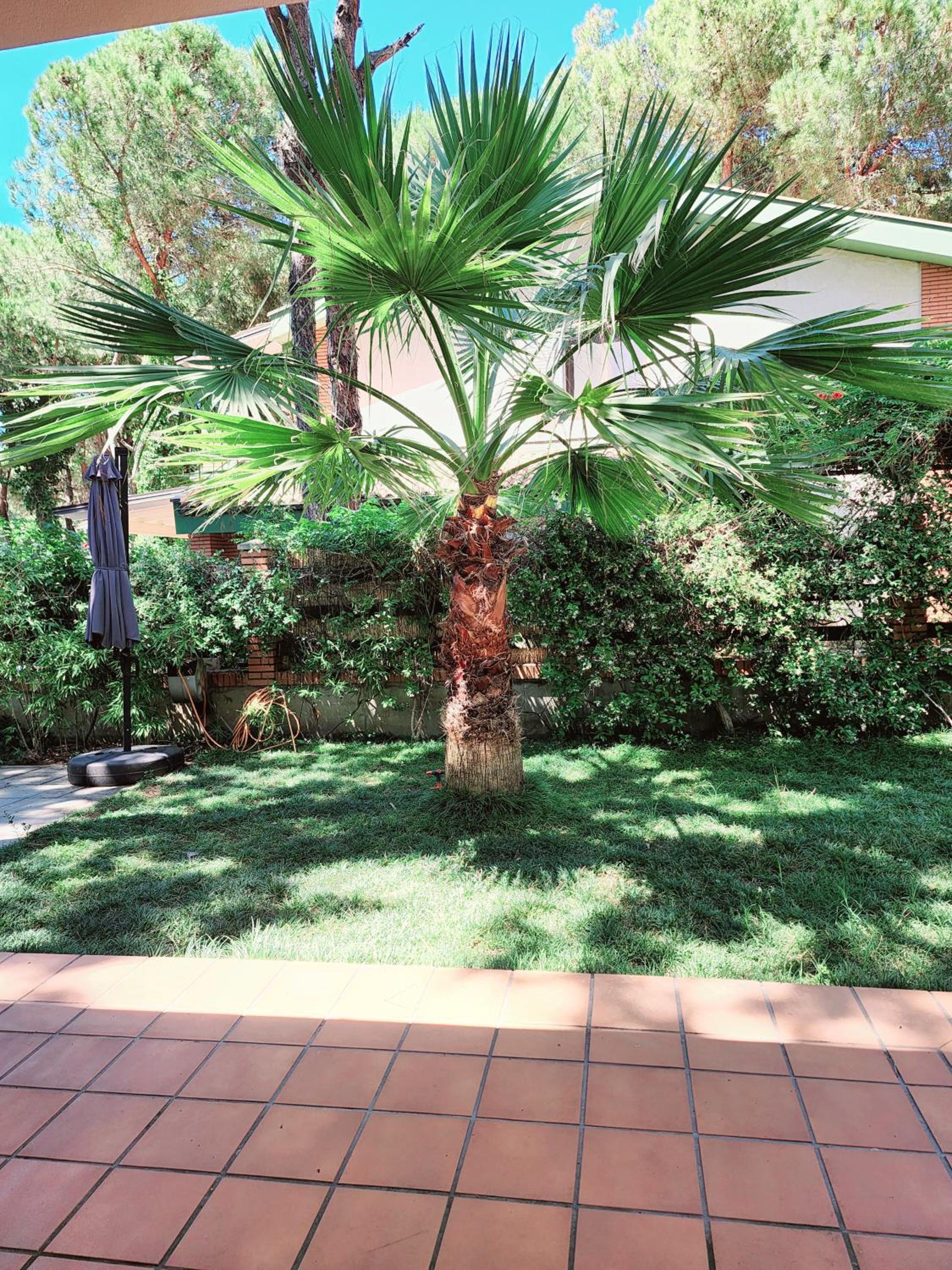 PineTrees Gem Villa Golem