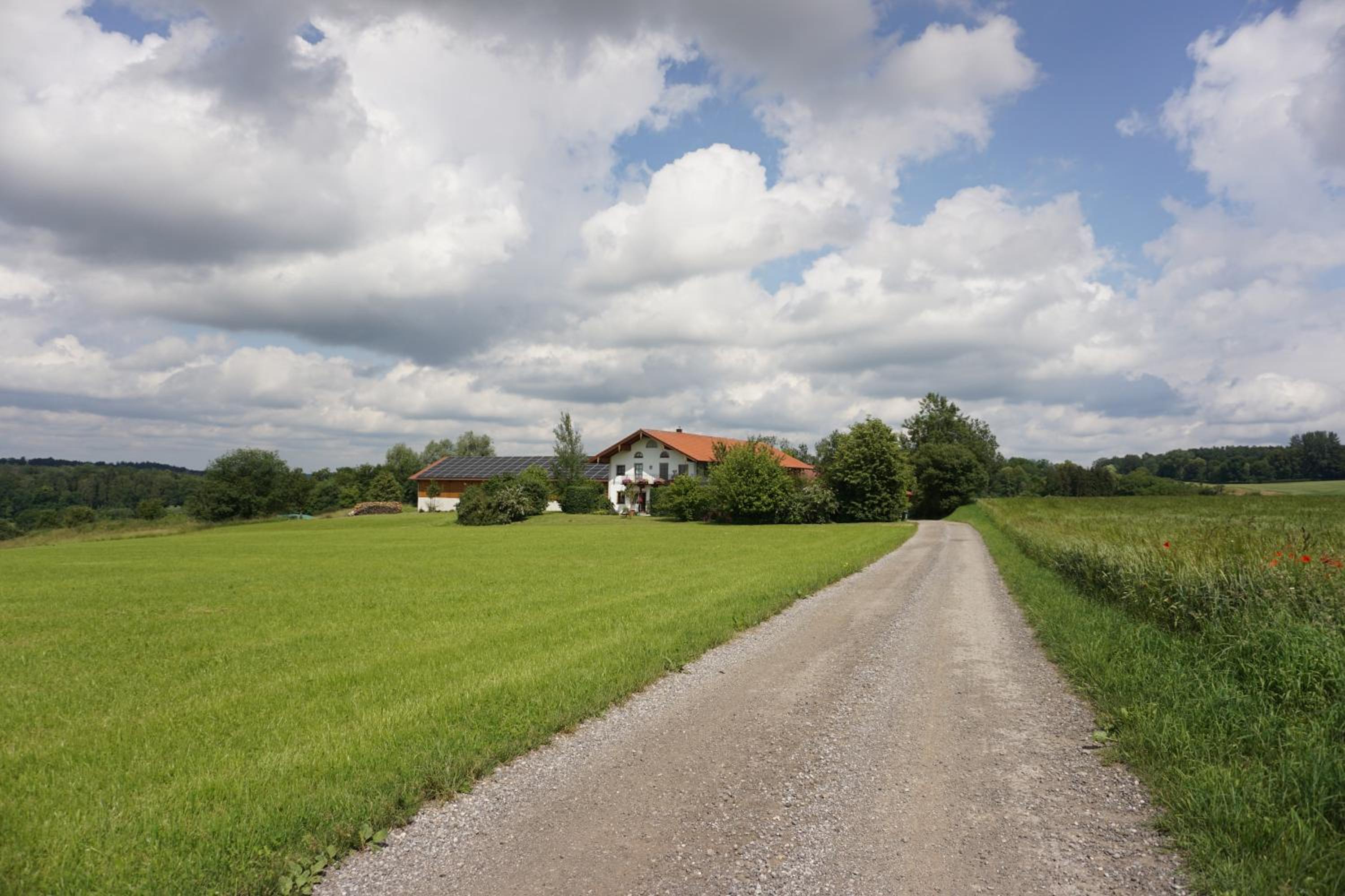 Photo 36