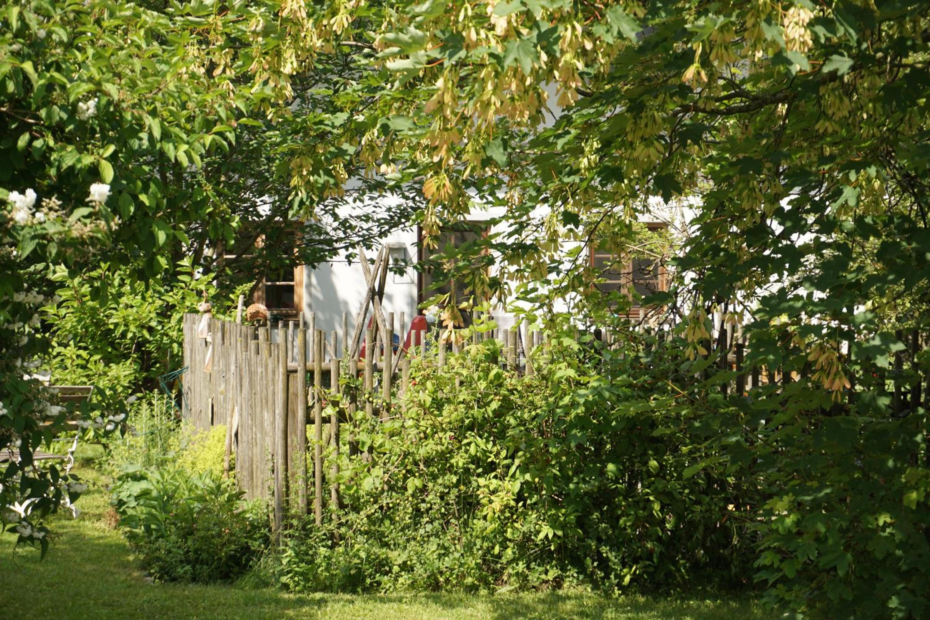 Photo 38