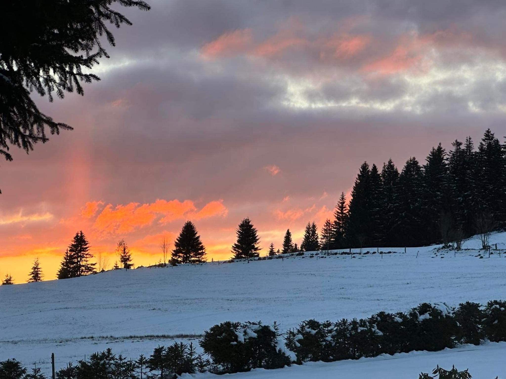 Chalet Galla