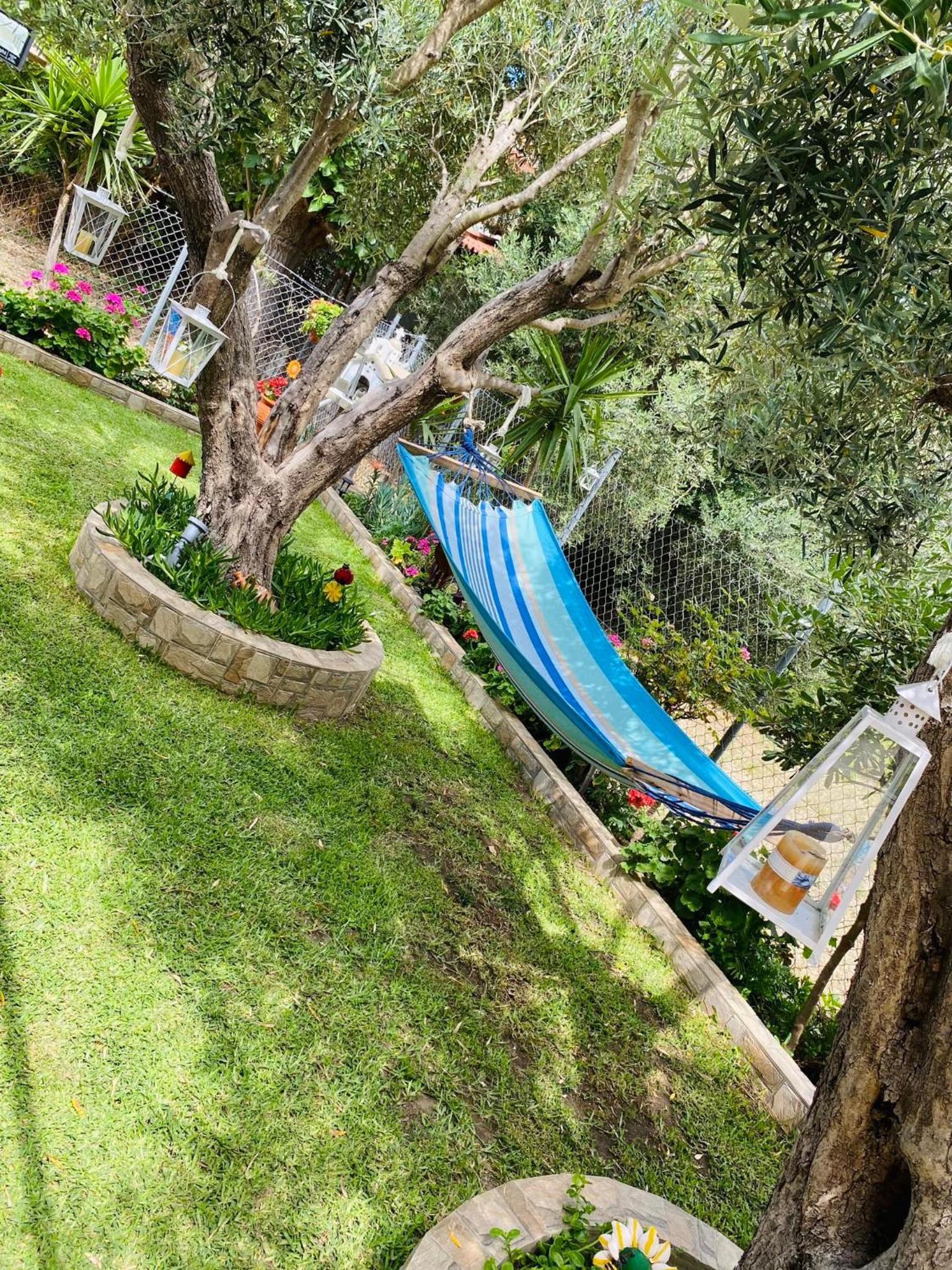 Backyard houses