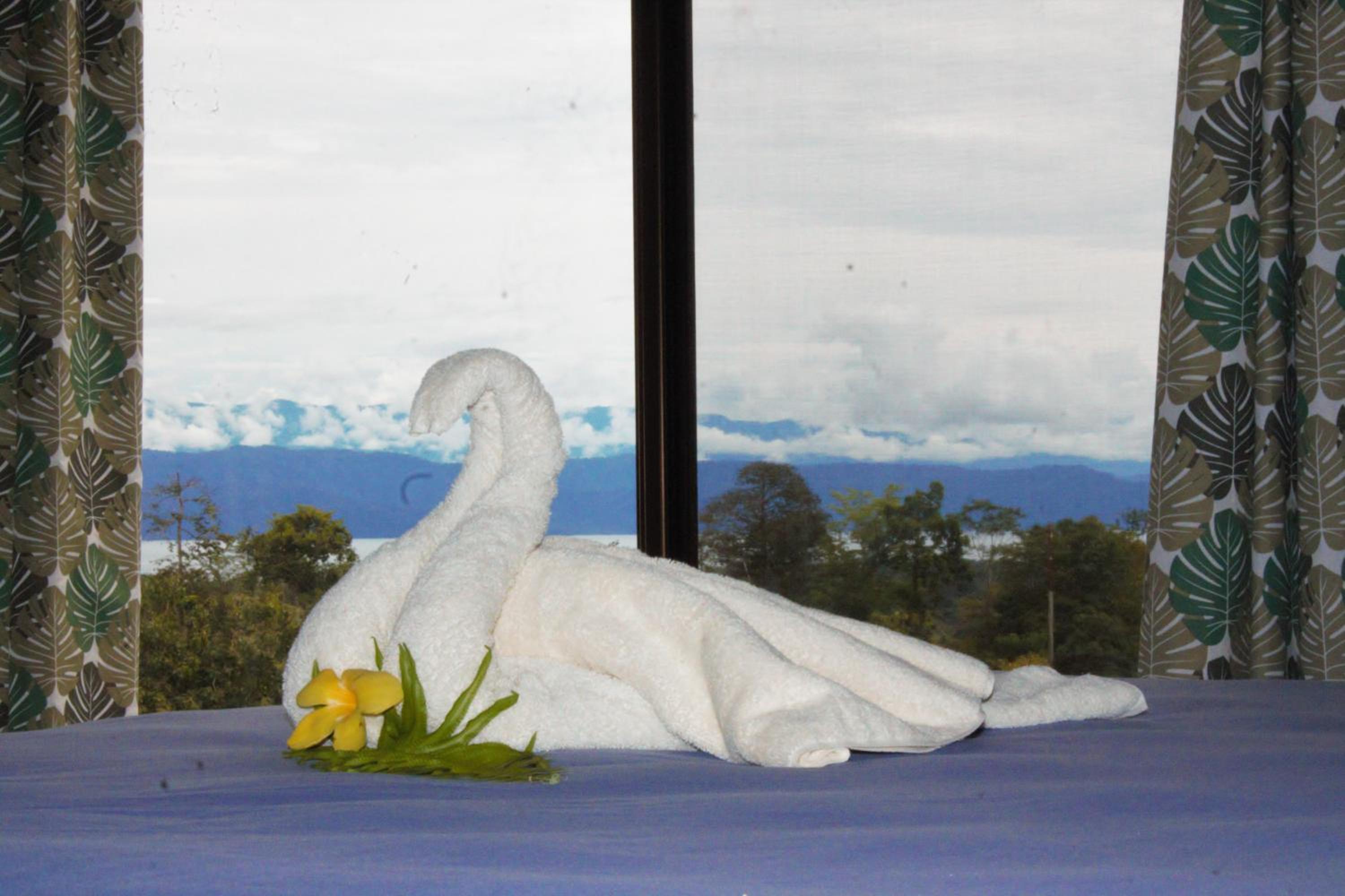 Osa Private Renting House-Villas-Tented-best views-nature-comfort