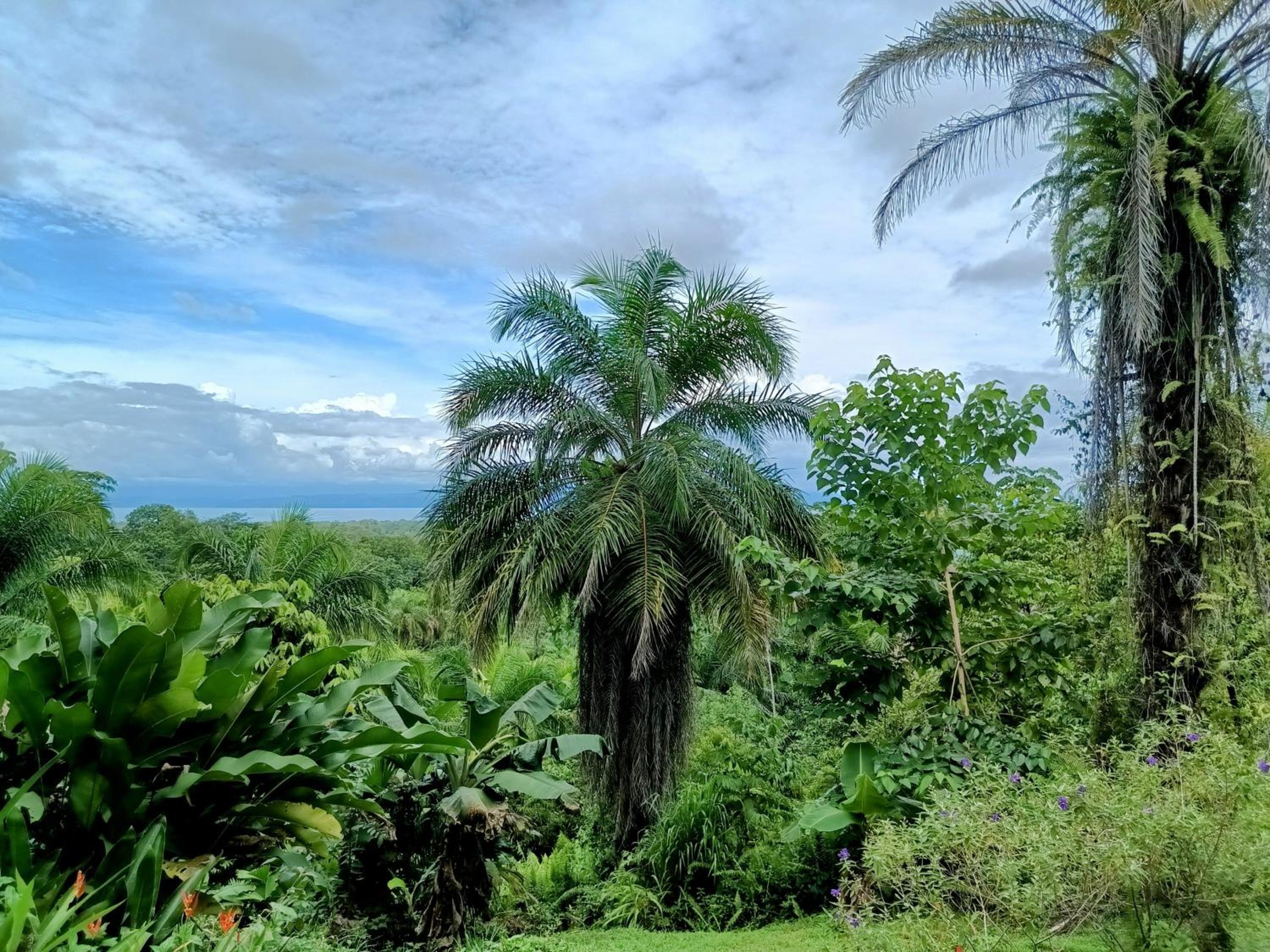 Osa Private Renting House-Villas-Tented-best views-nature-comfort