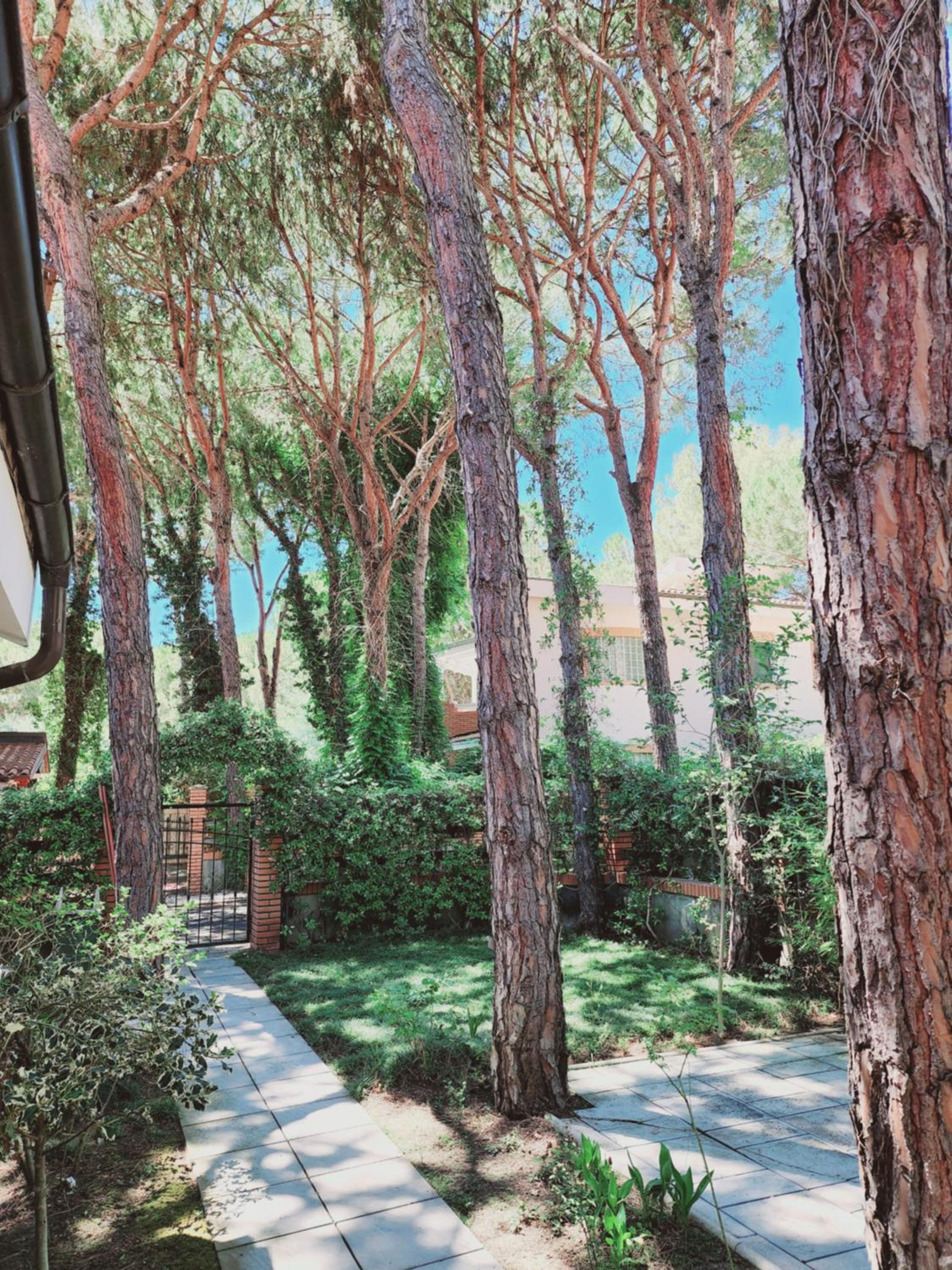 PineTrees Gem Villa Golem