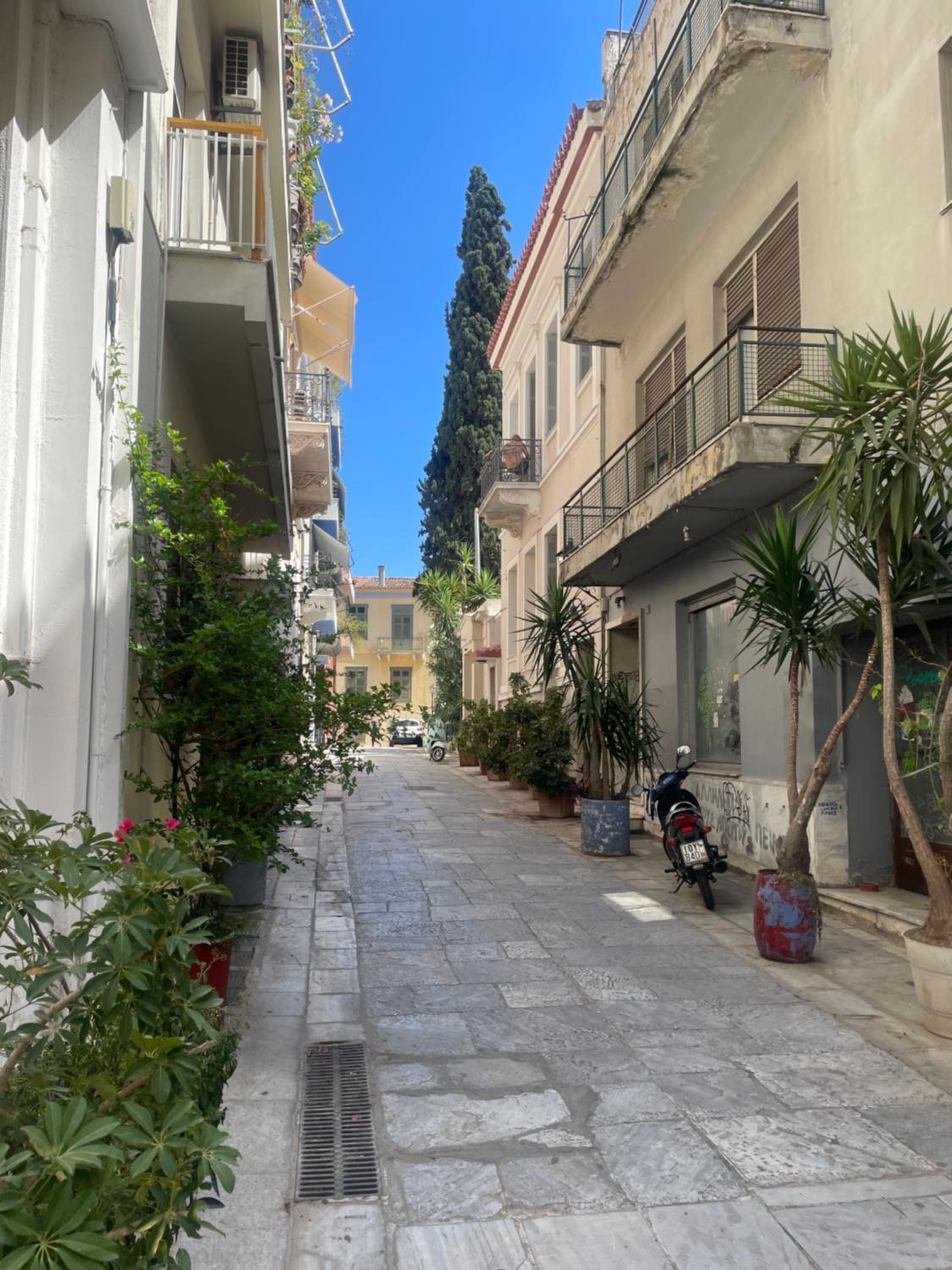 Syntagma Plaka studio 1