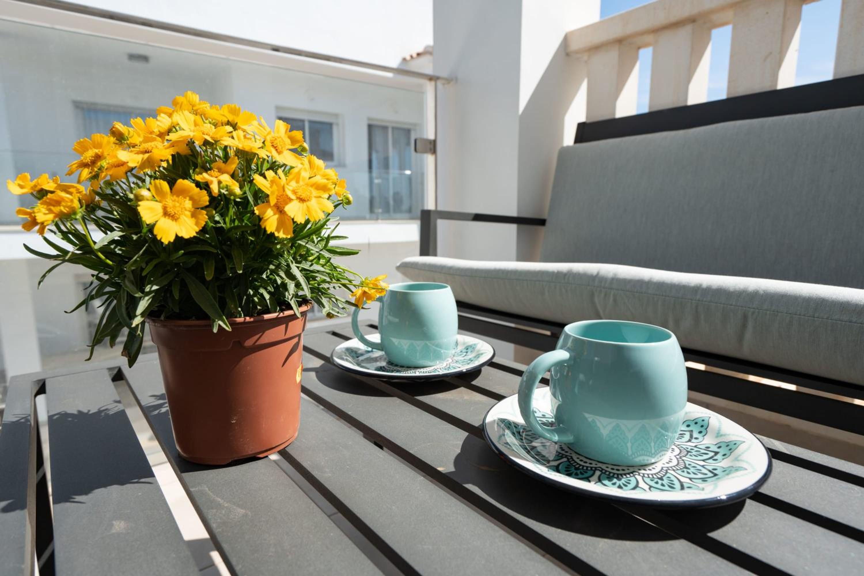 balance & terrace
