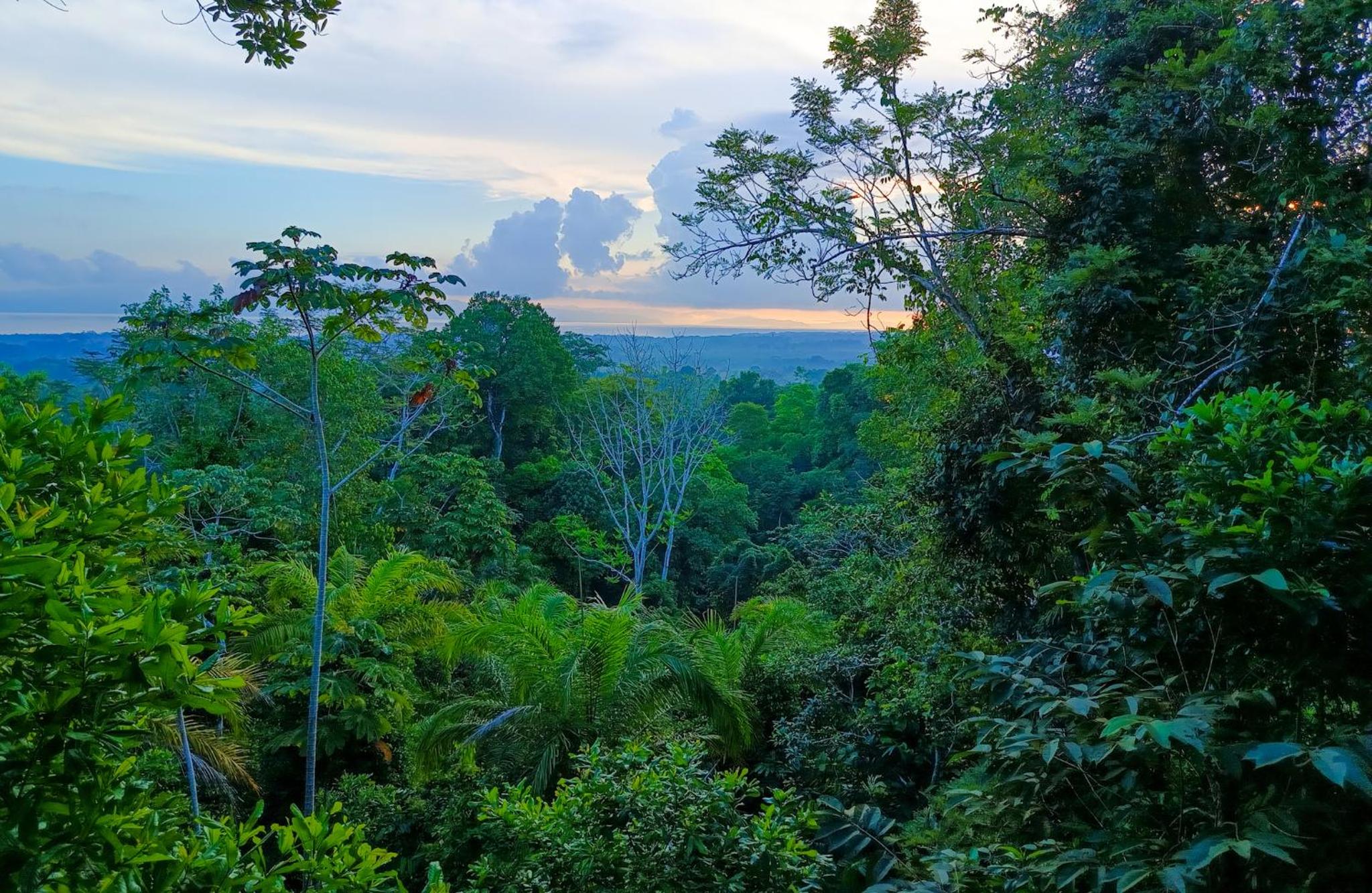Osa Private Renting House-Villas-Tented-best views-nature-comfort