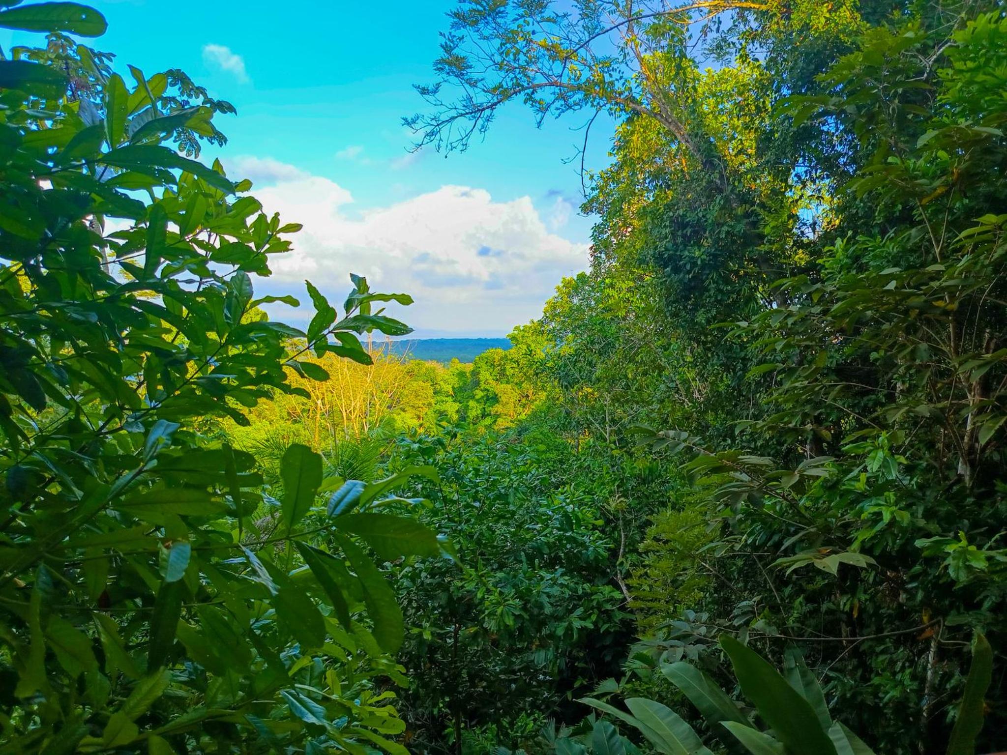 Osa Private Renting House-Villas-Tented-best views-nature-comfort