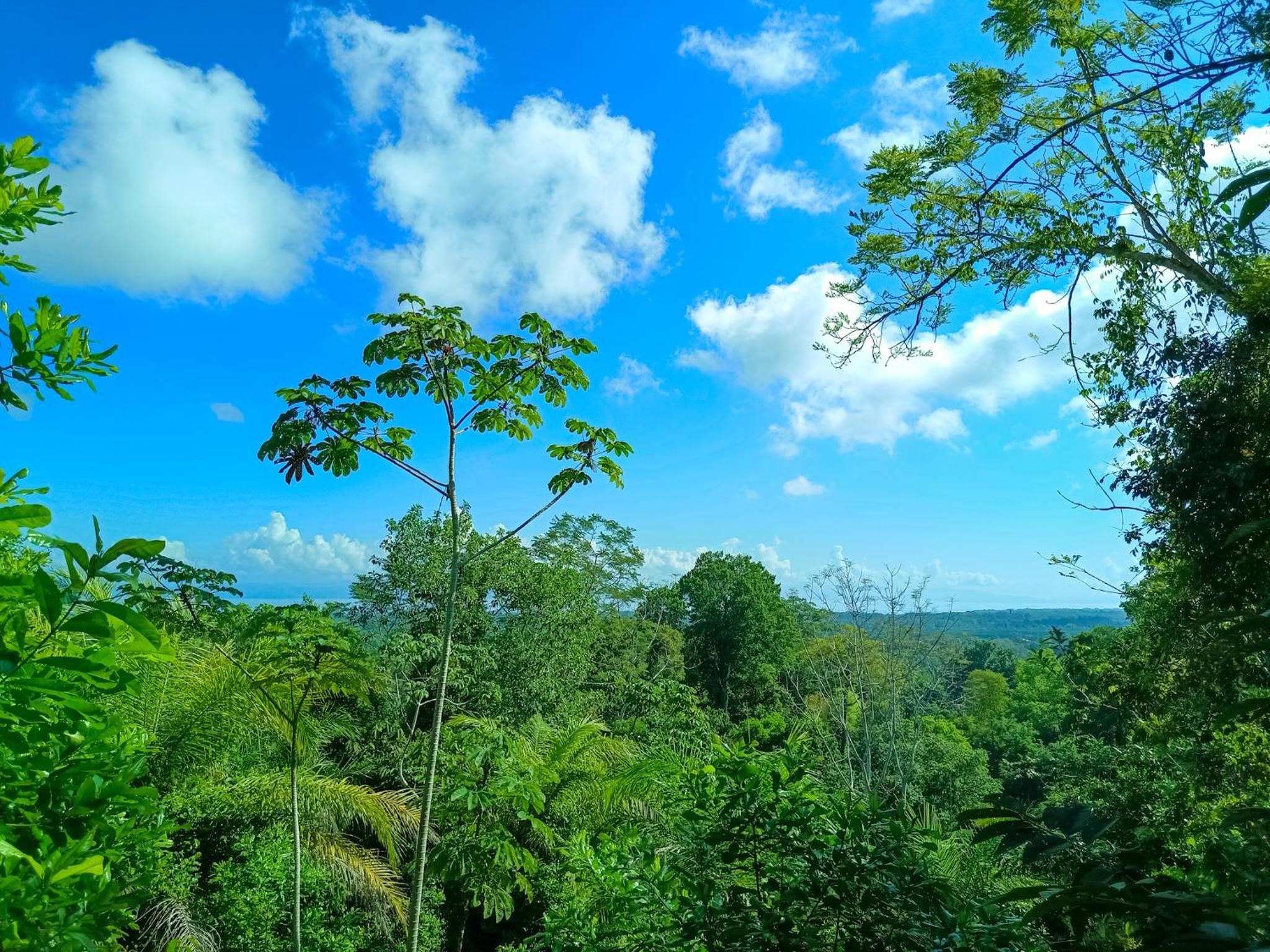 Osa Private Renting House-Villas-Tented-best views-nature-comfort