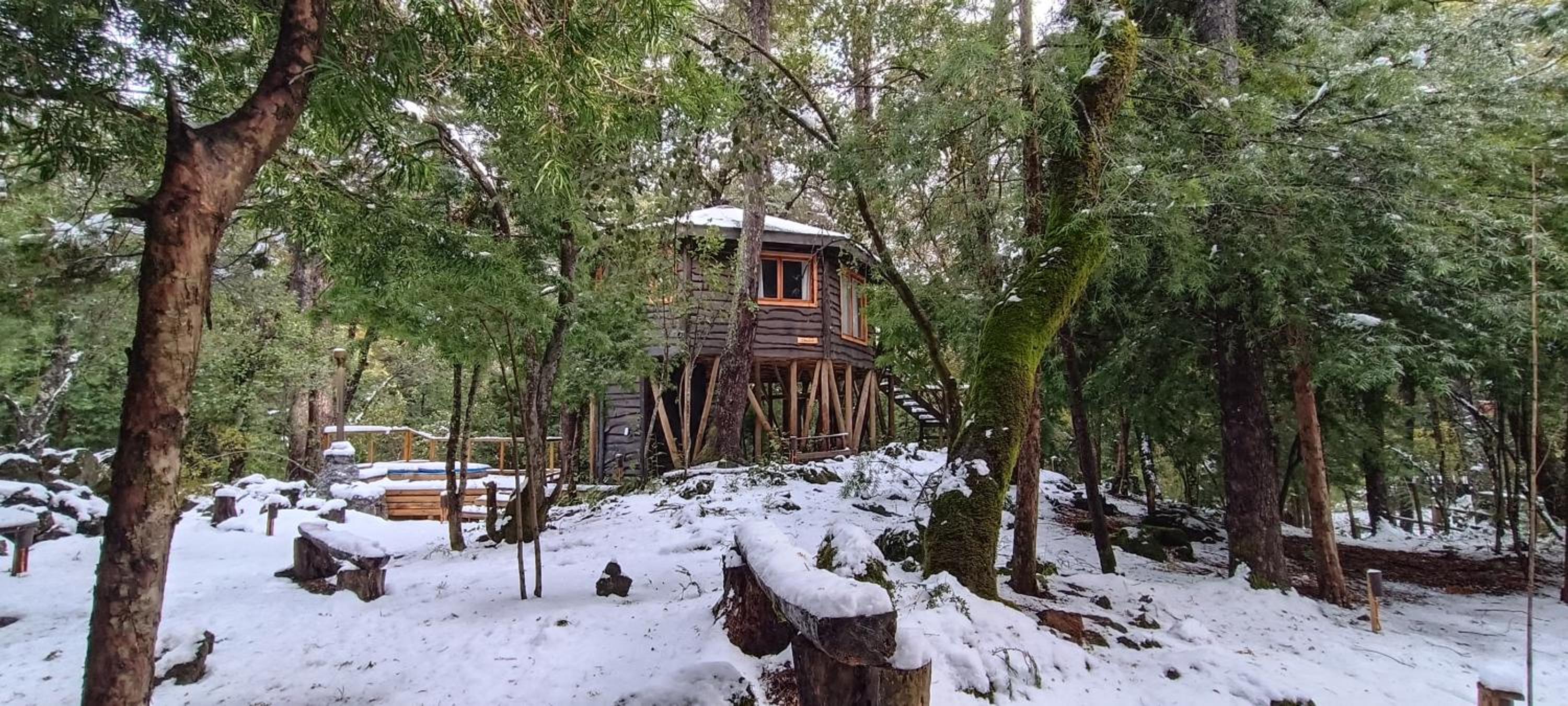 Cabañita del Árbol Cóndor