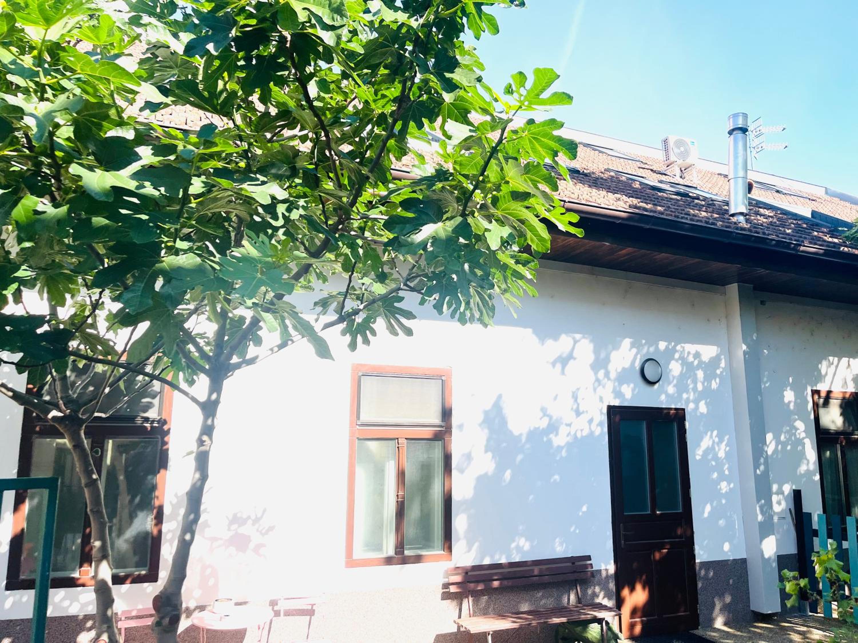 JÓKAI Apartman view 3
