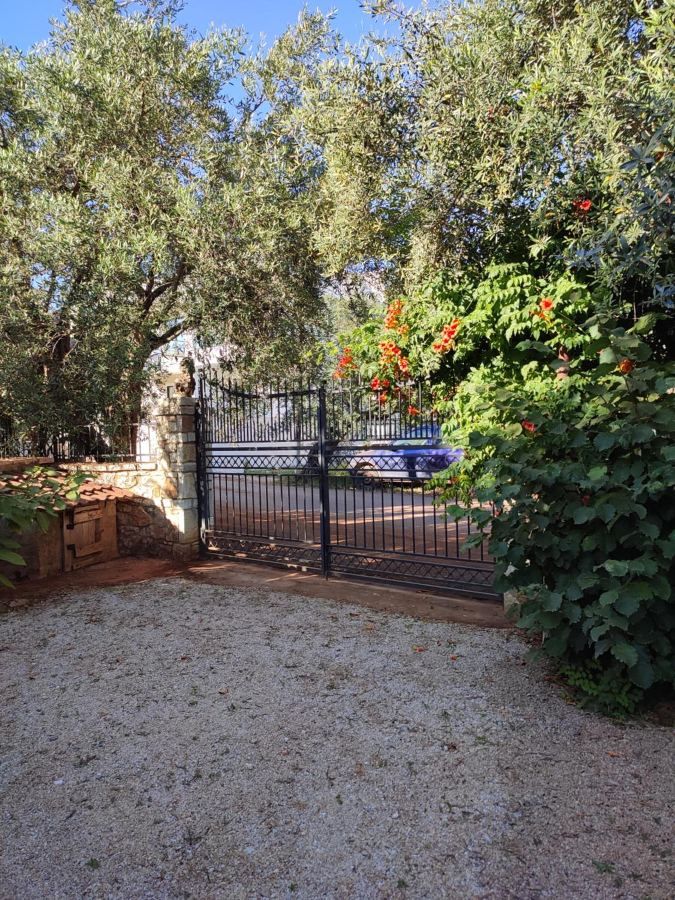 Apartment Shefqeti