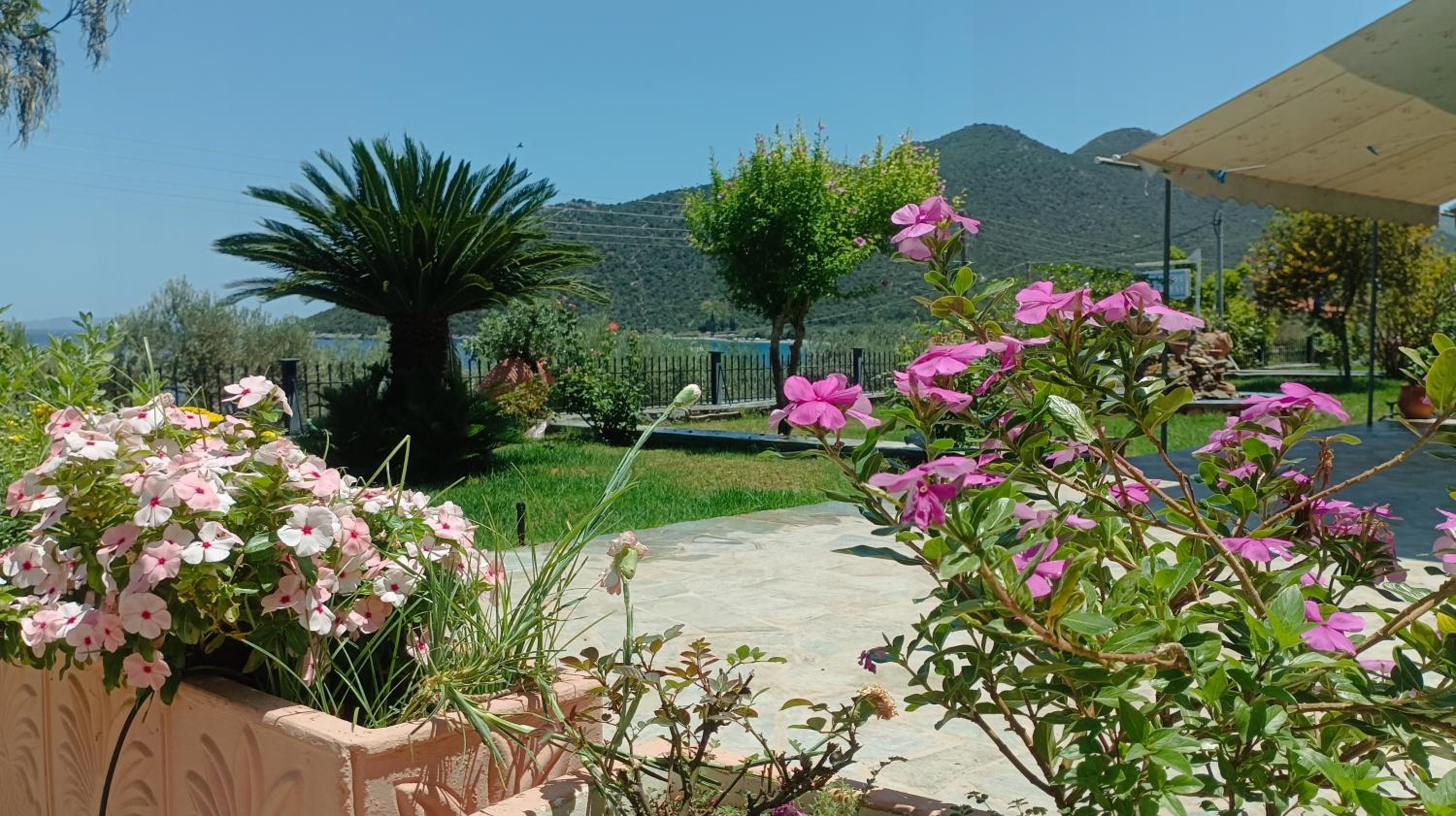 Studios Zaritsi