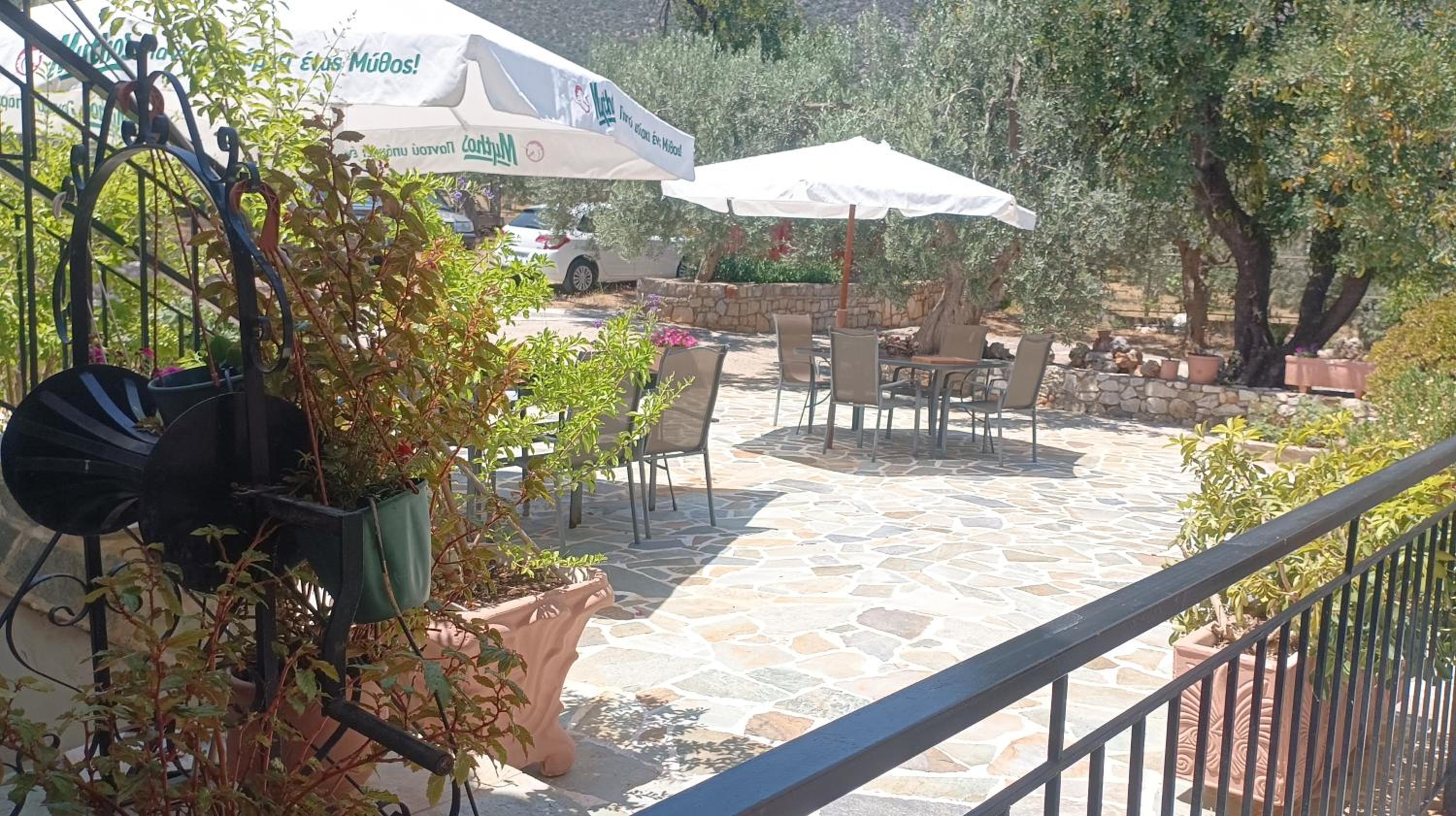 Studios Zaritsi