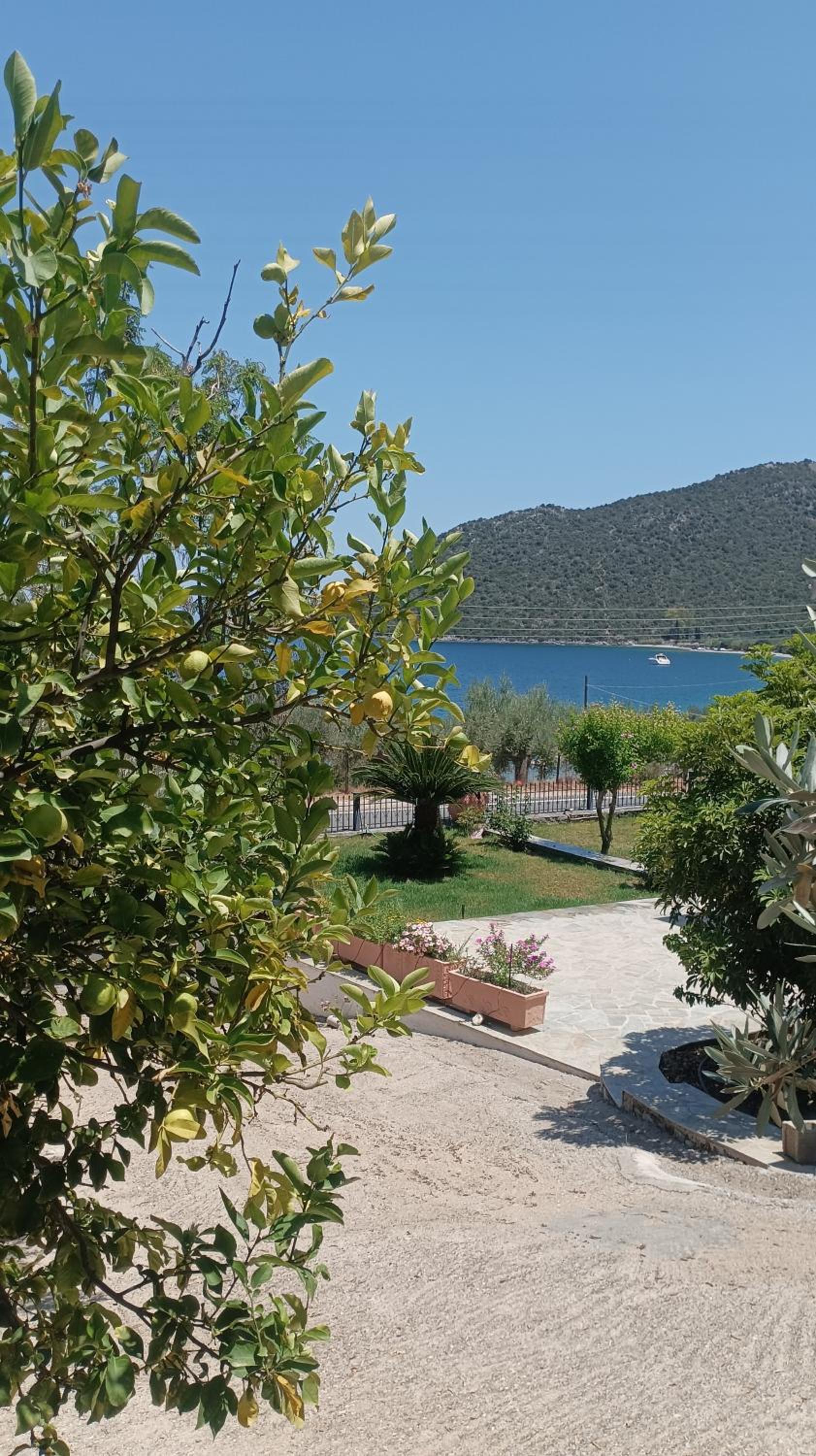 Studios Zaritsi