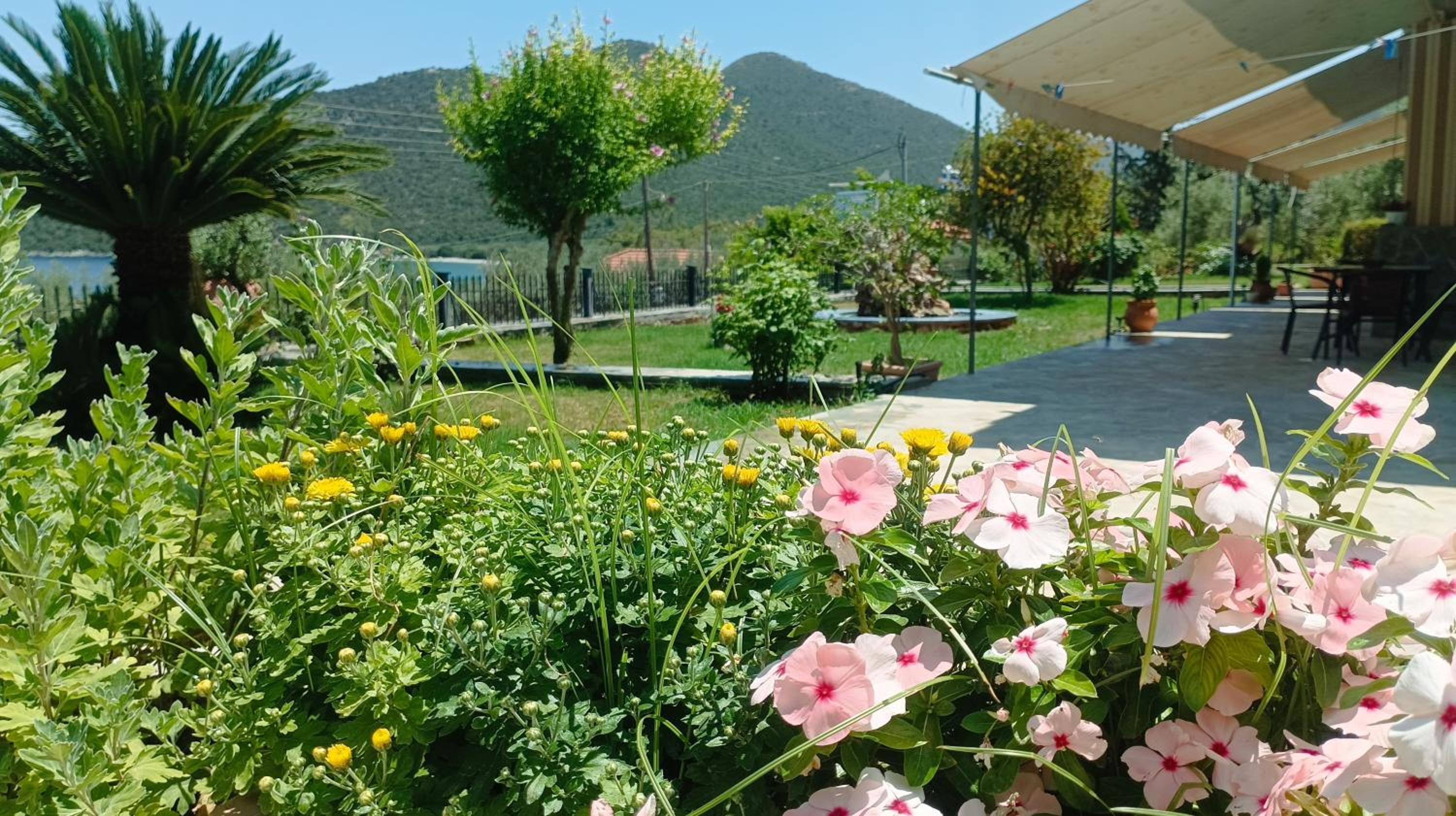 Studios Zaritsi