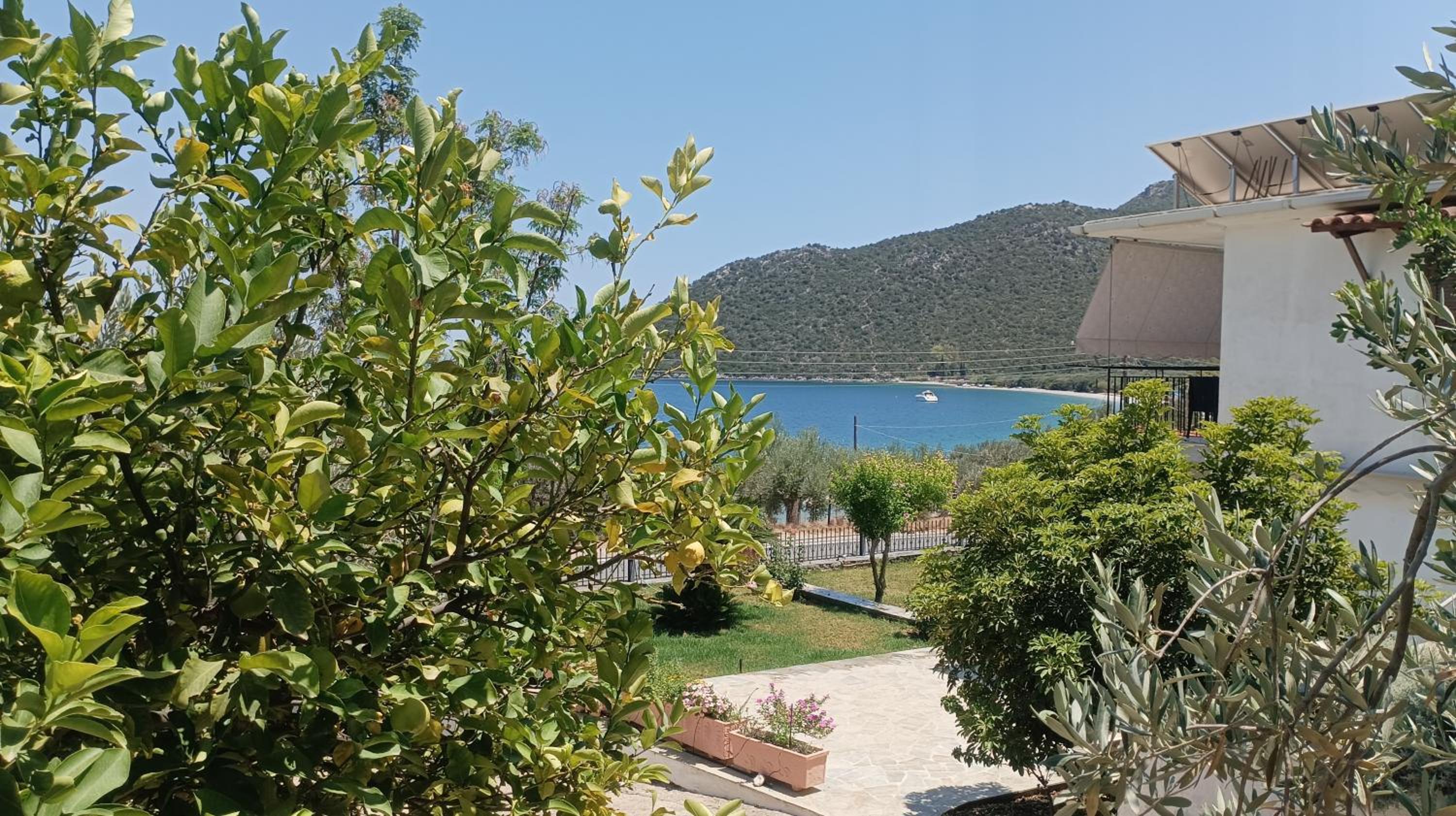 Studios Zaritsi