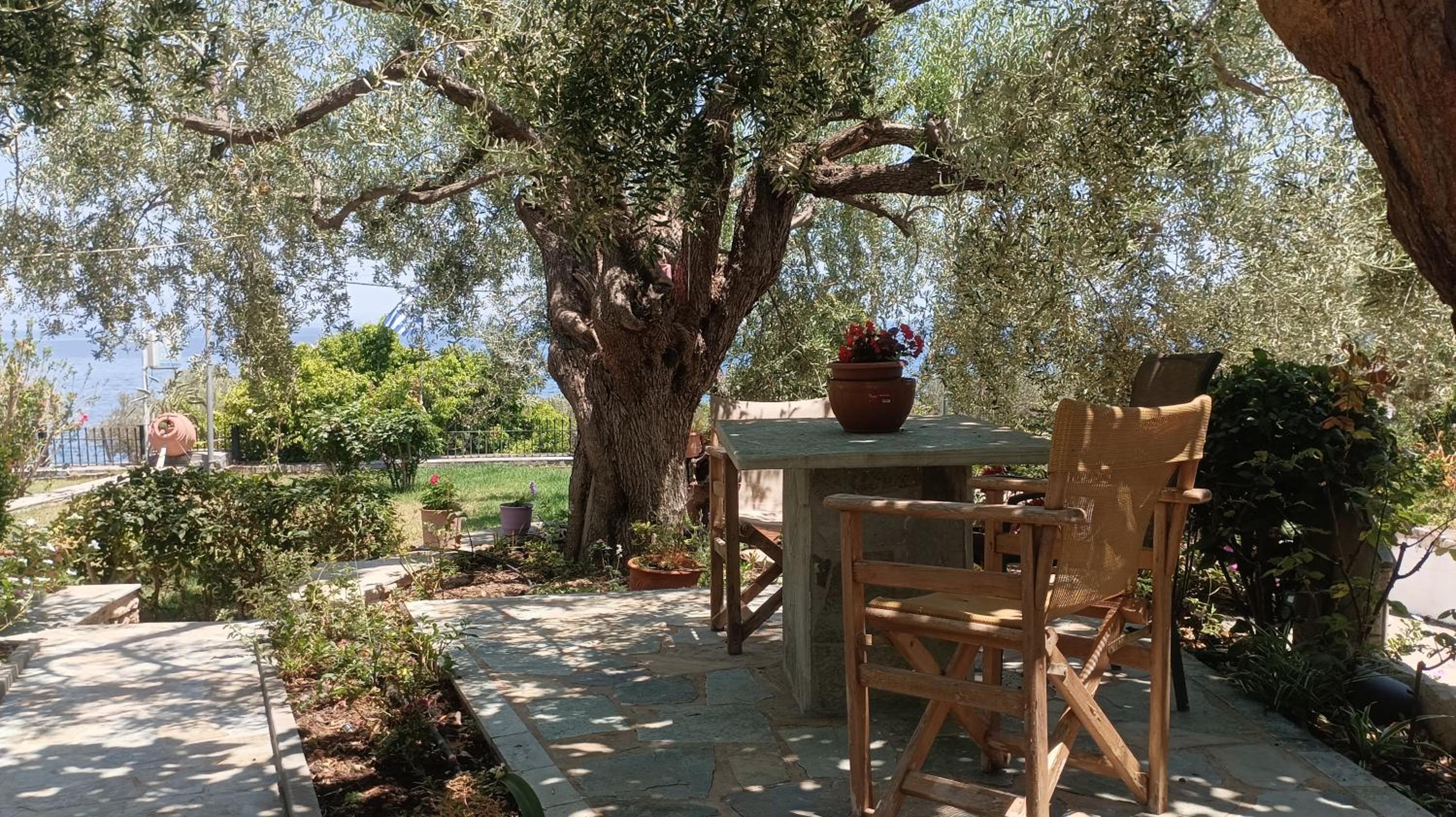 Studios Zaritsi