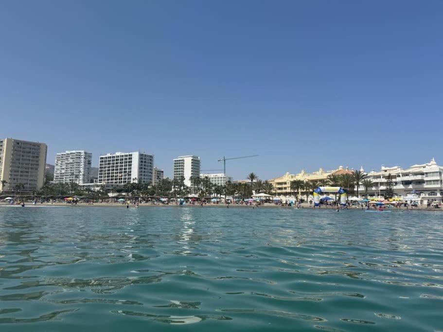 Bonanza Sea Horse Vacations