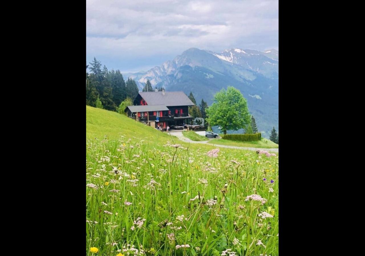 Bergpension Battagliahütte