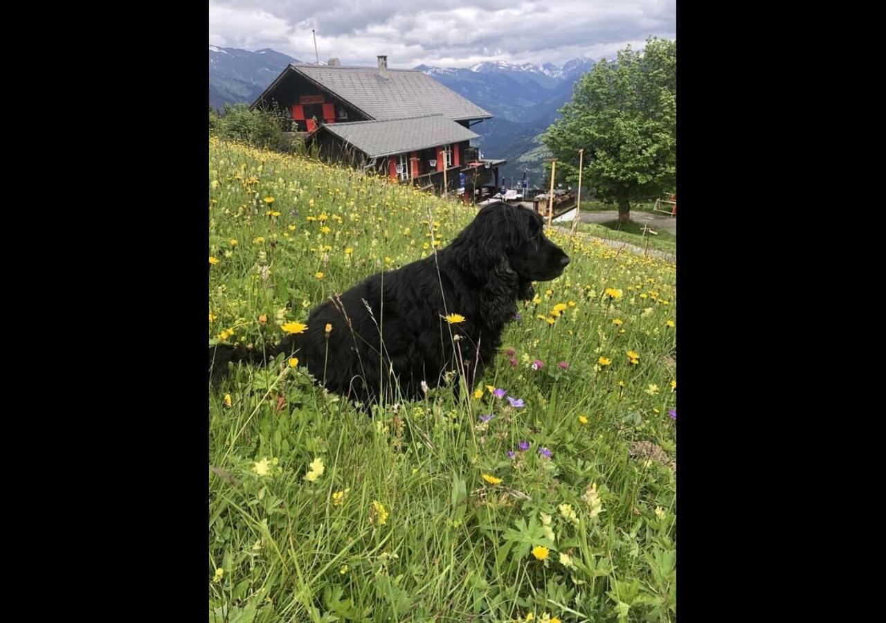 Bergpension Battagliahütte