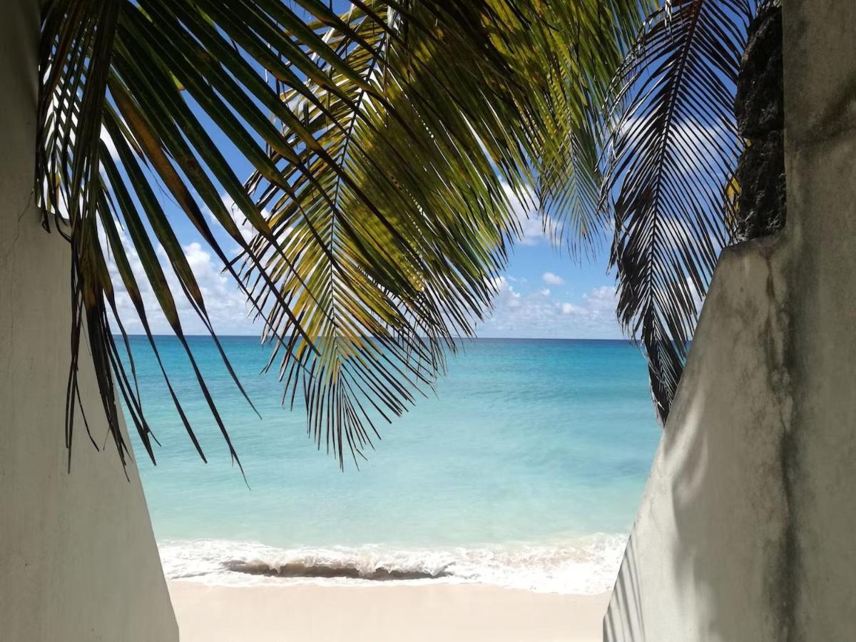Couples Hideaway, King Bed- 5 Mins to Beach & Oistins- Golden Teal