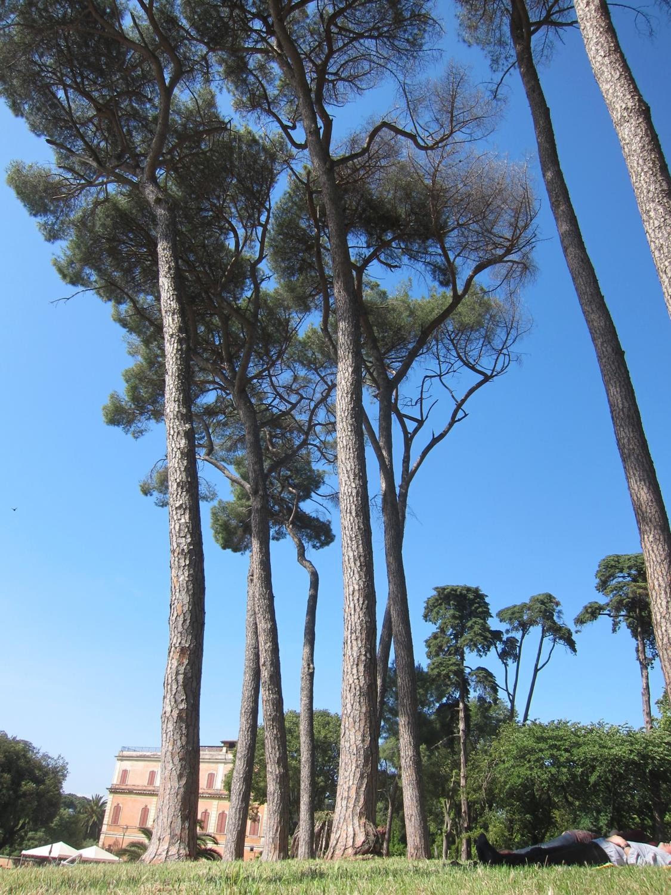 Casa del glicine