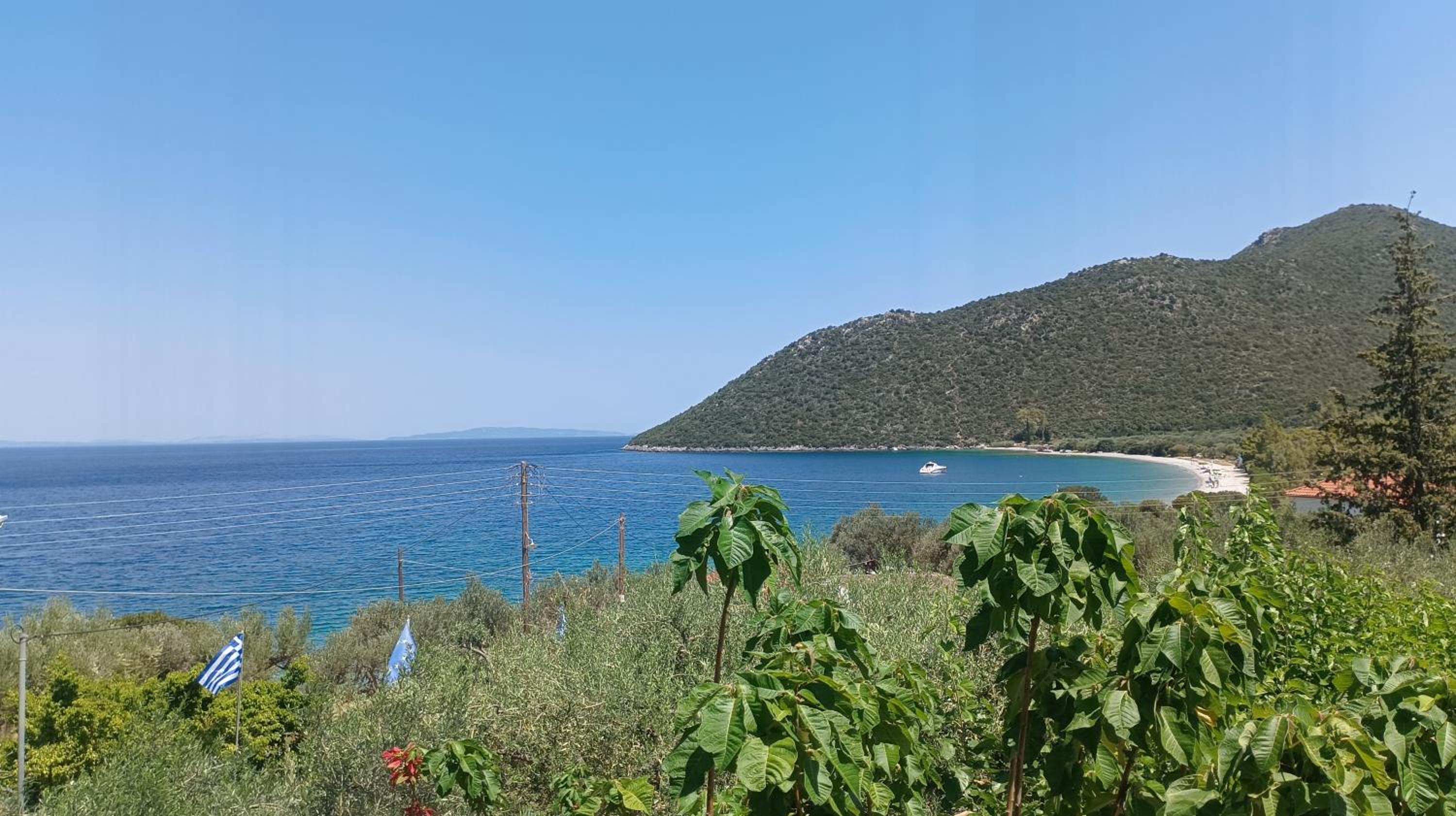 Studios Zaritsi