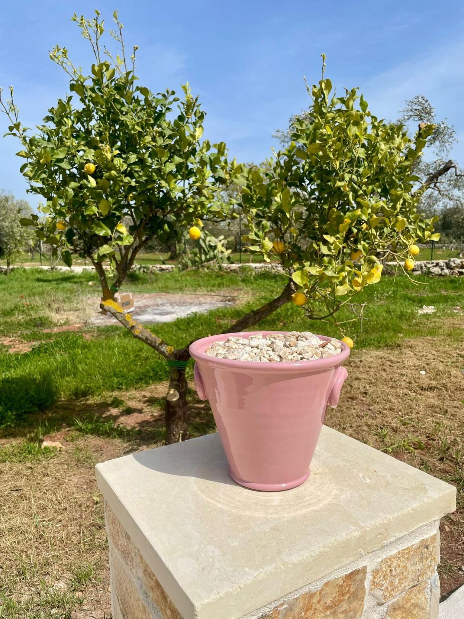 Trullo Bubamare