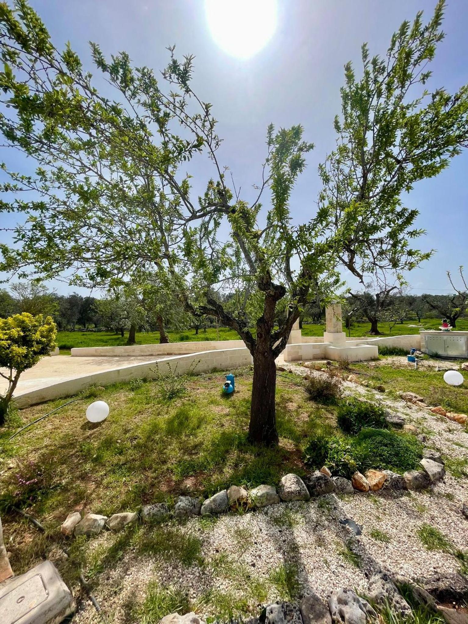 Trullo Bubamare
