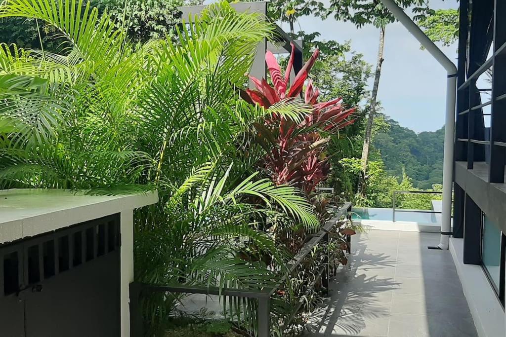 Casa Labôme - Ocean View Getaway - Adults only