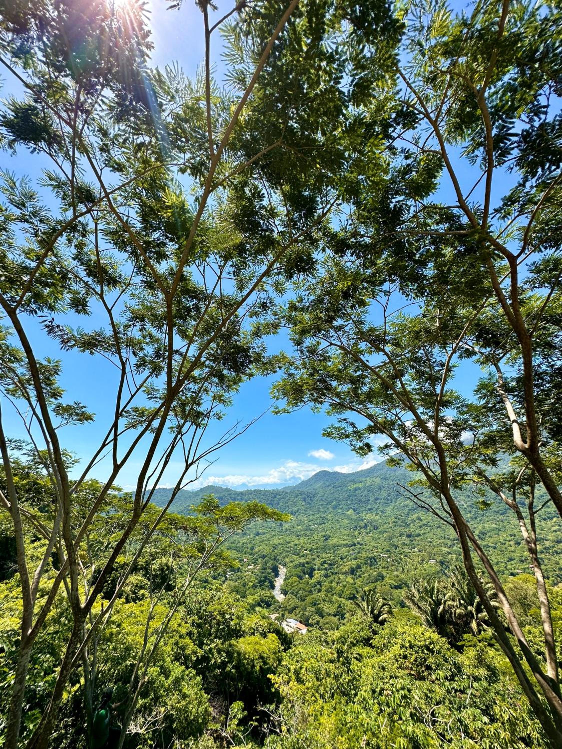 Eco Hostal Yuluka