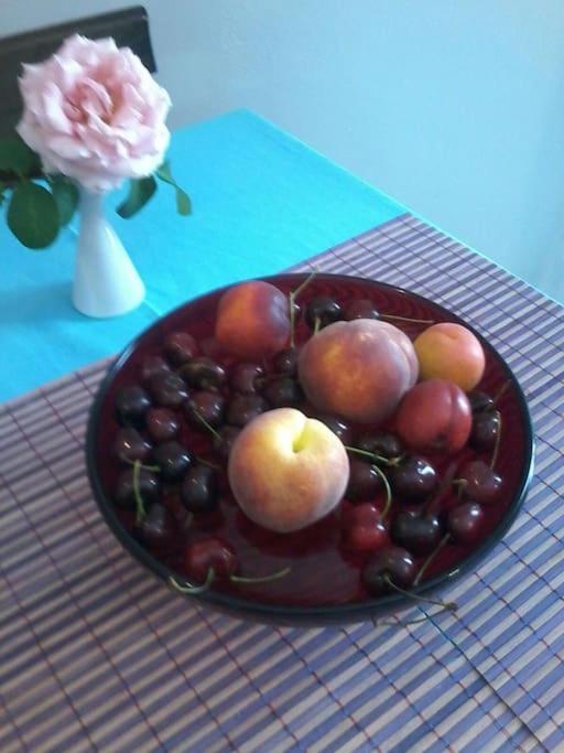 Photo 26