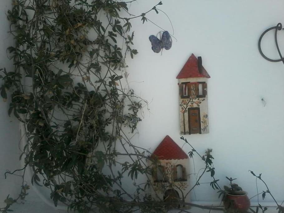 Photo 29
