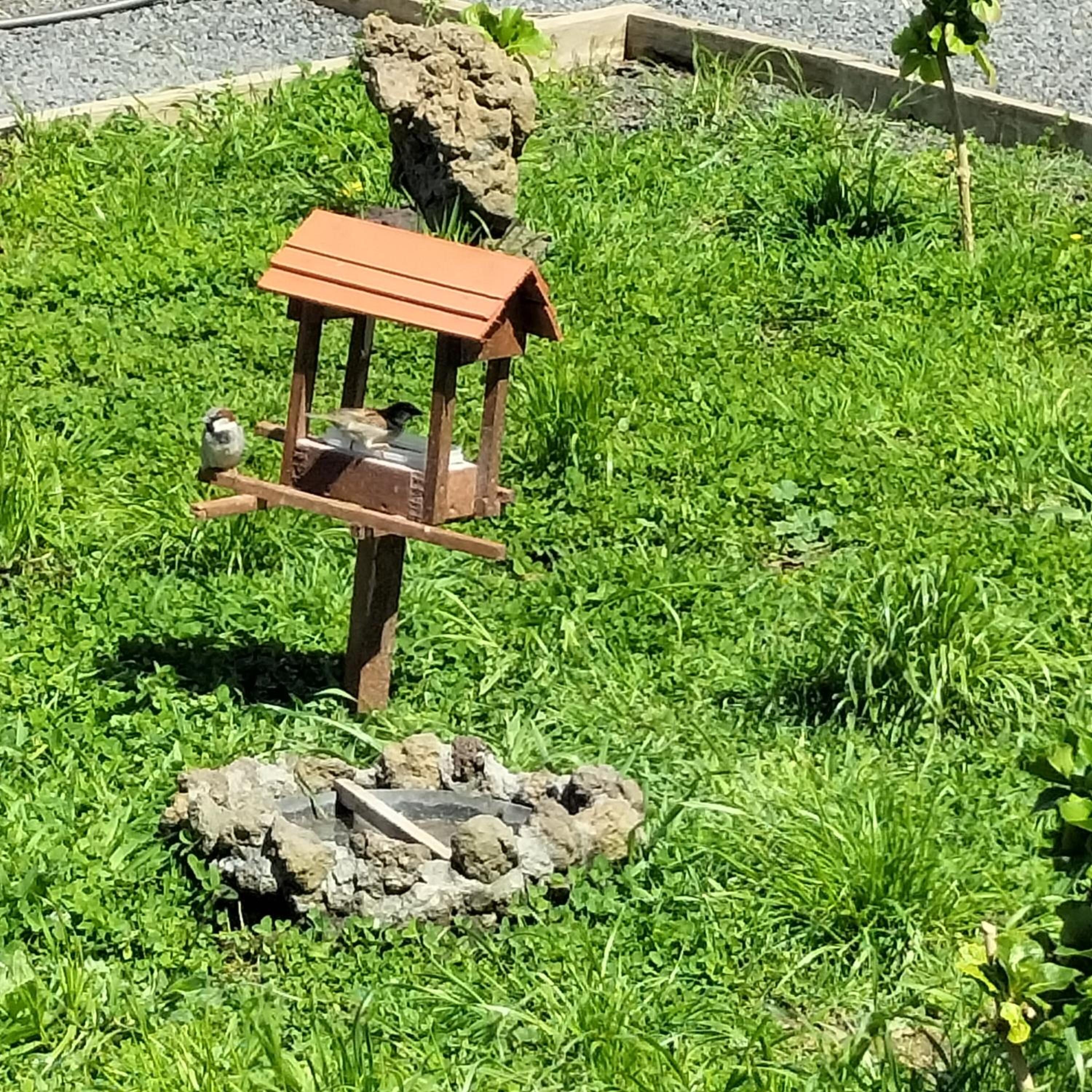 Alojamento Raminho dos Açores