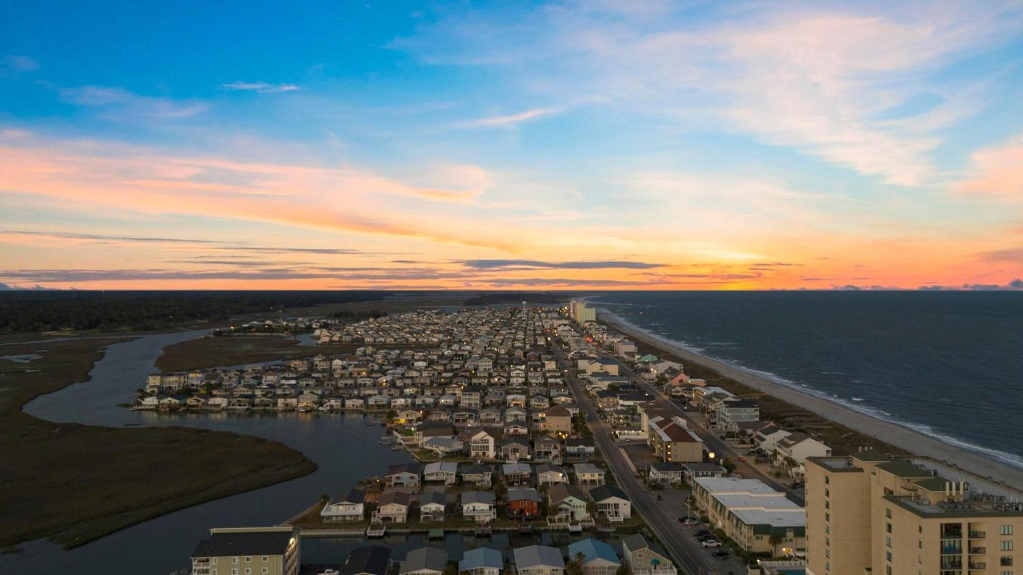 Palmetto Sunset