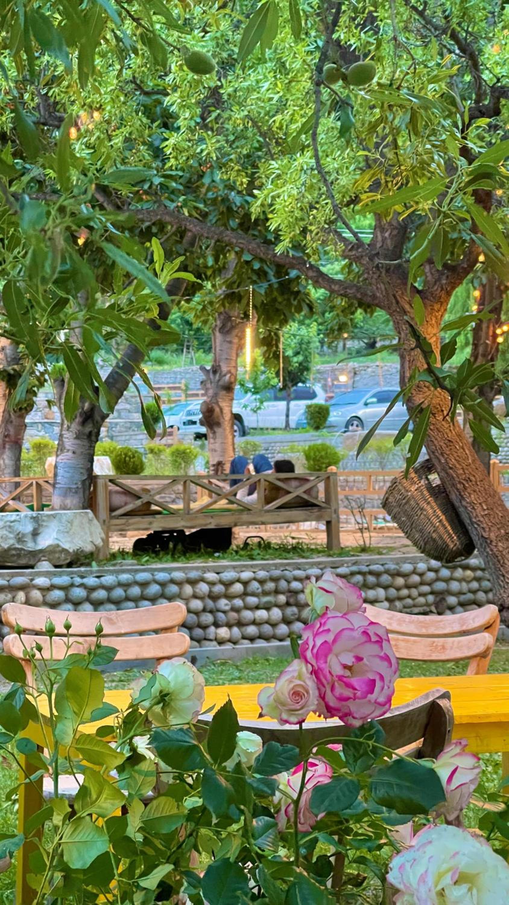 Dumani Nagar Hotel & Resort view 3