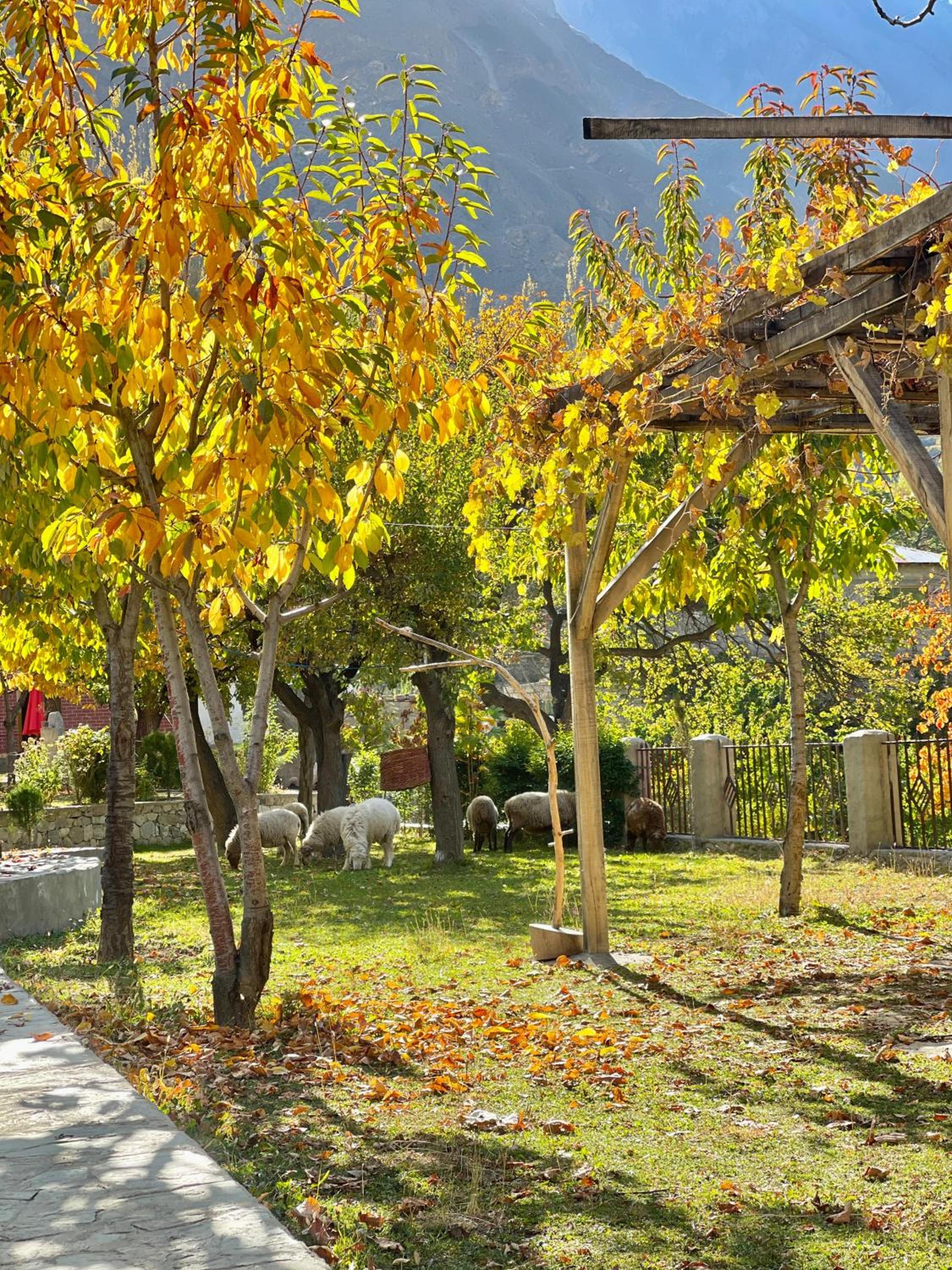 Photo 9