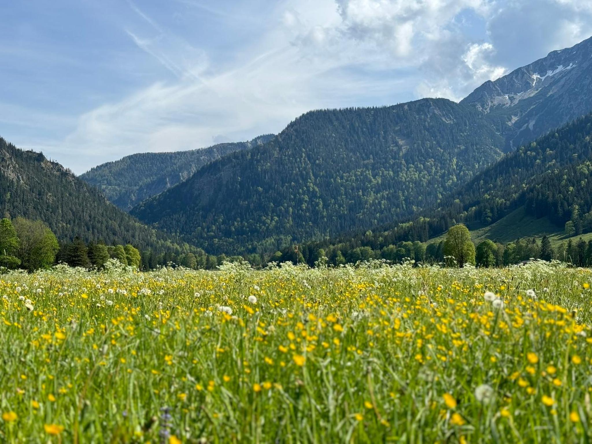 Garten Chalet