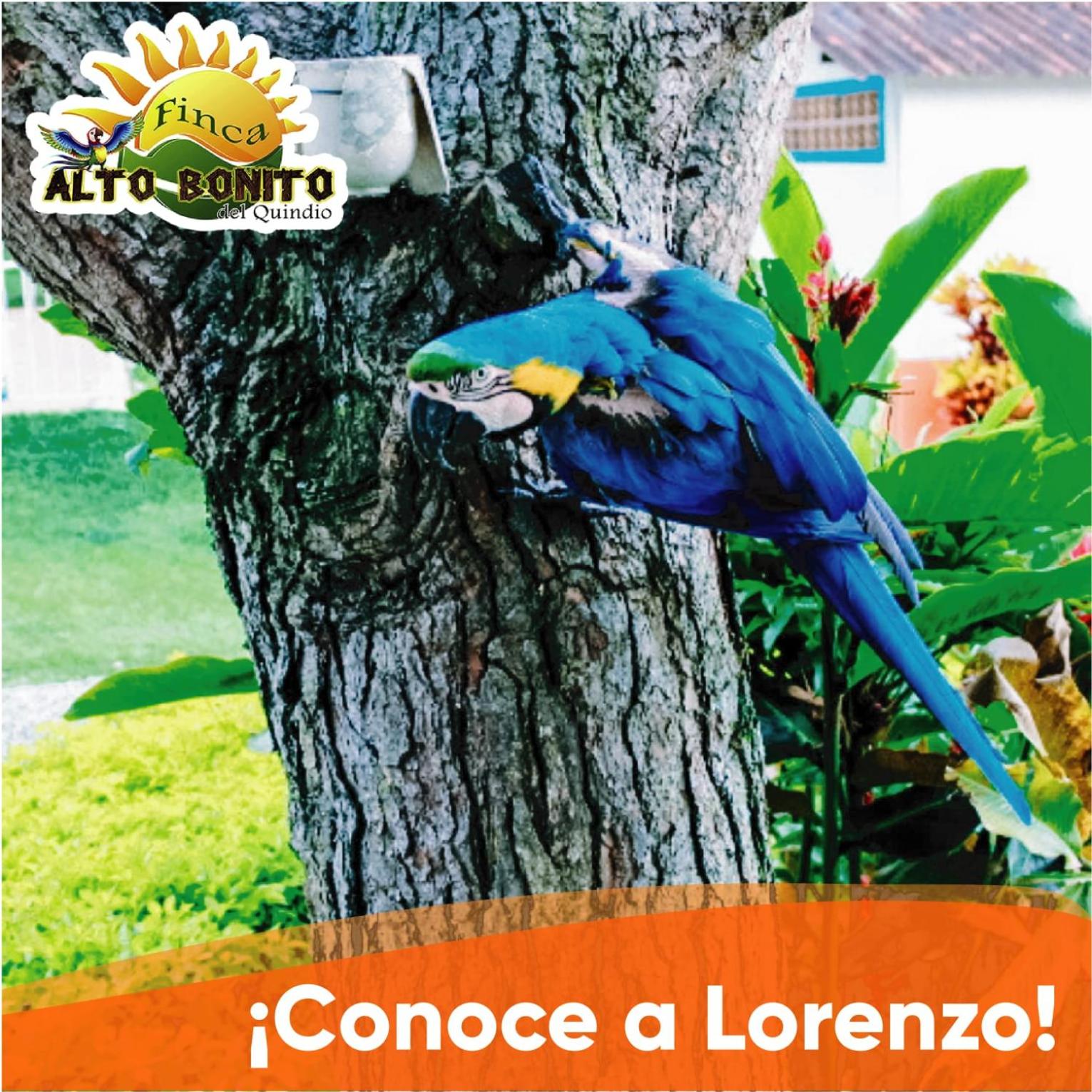 Hotel Campestre Alto Bonito del Quindío