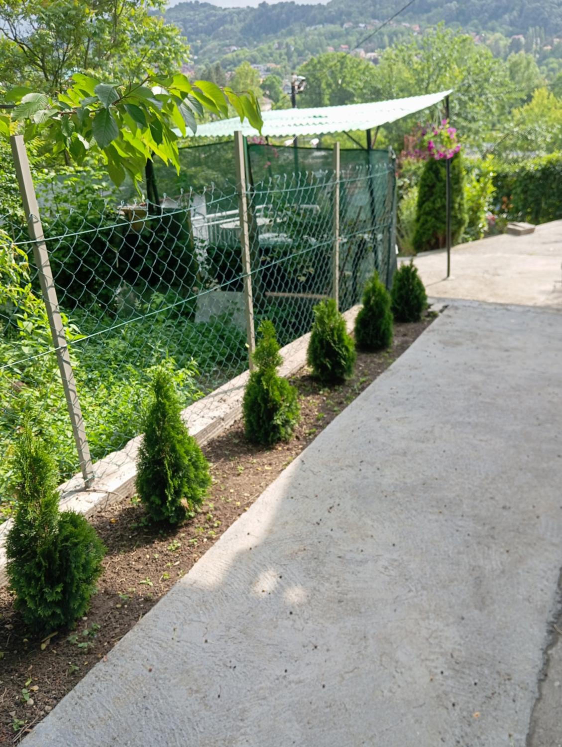 Apartman Deni