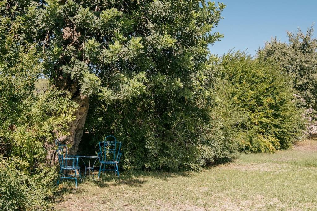 Can Sion Finca