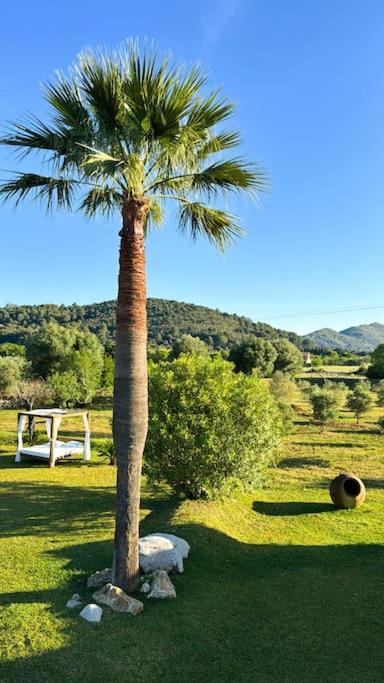 Can Sion Finca