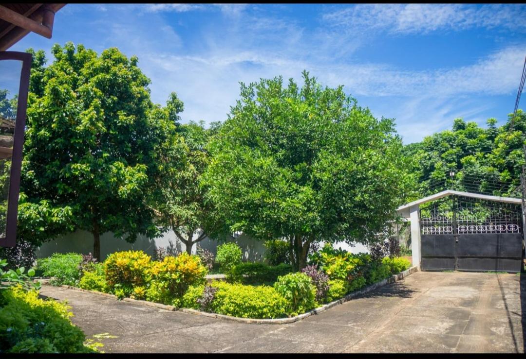 ZanziVilla Oasis