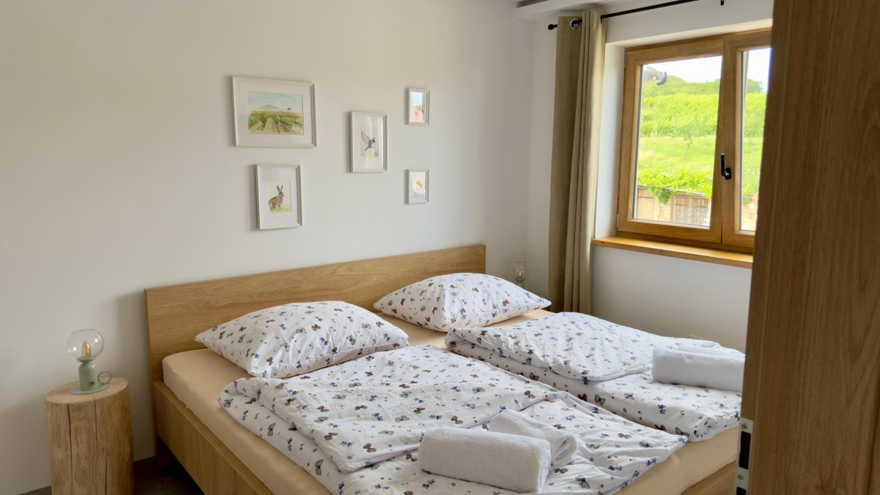 Villa Popice s výhledem na Pálavu