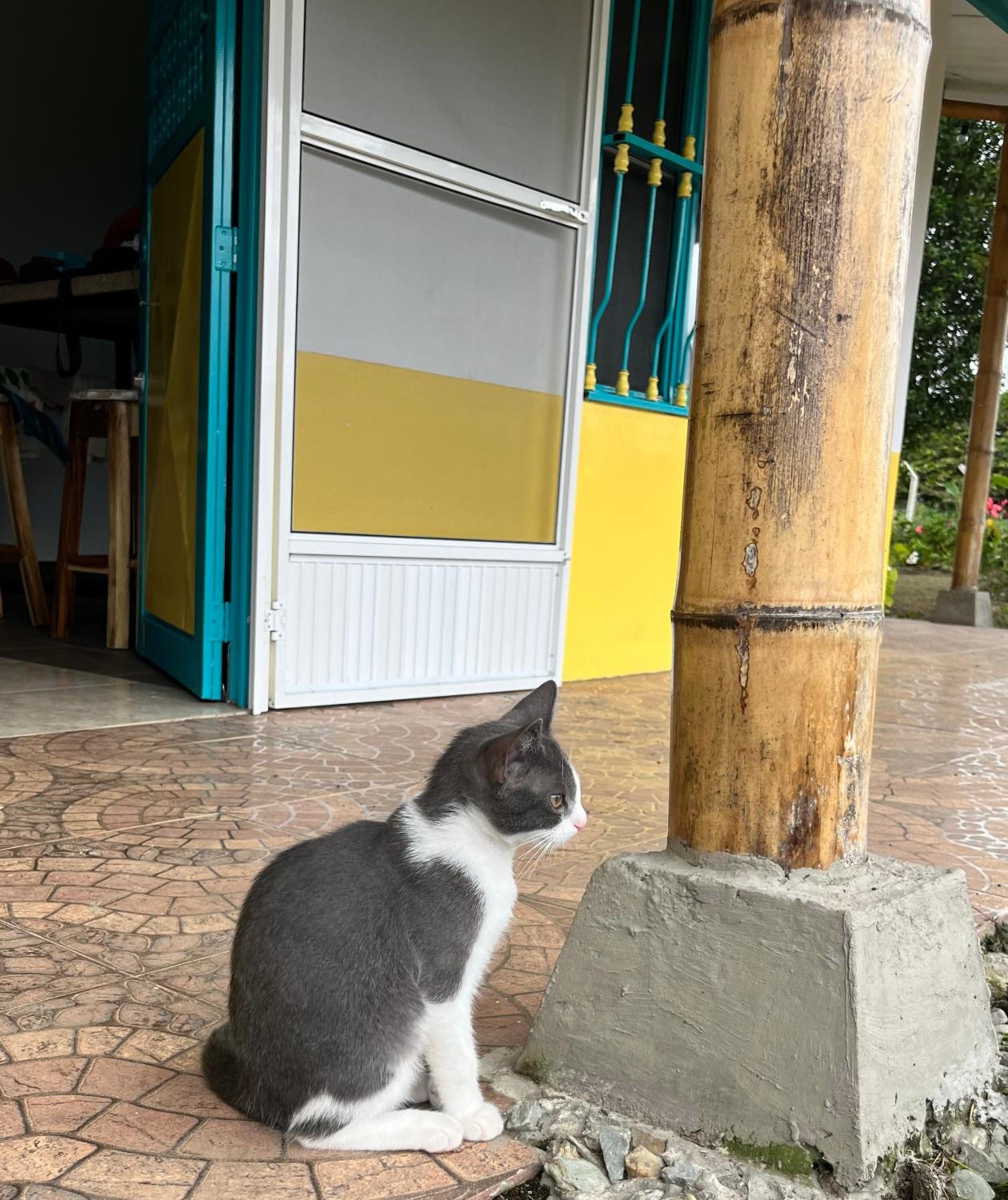 Finca La Molienda, espléndido Mirador del Quindio